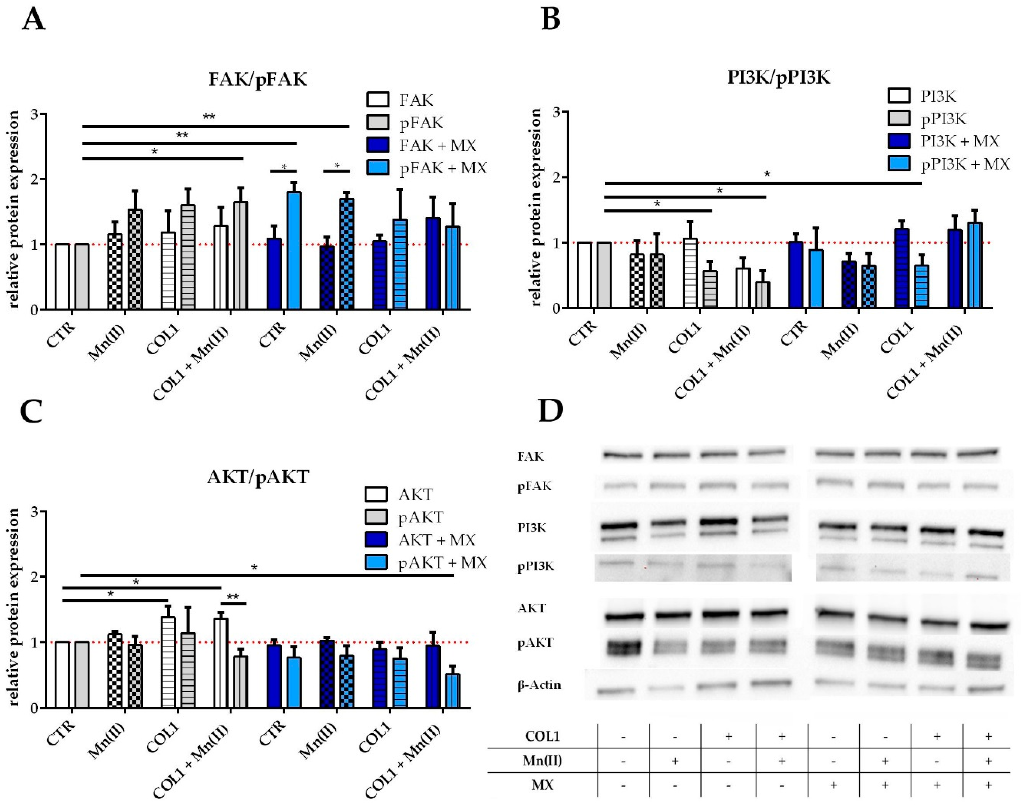 Cancers 10 00495 g003