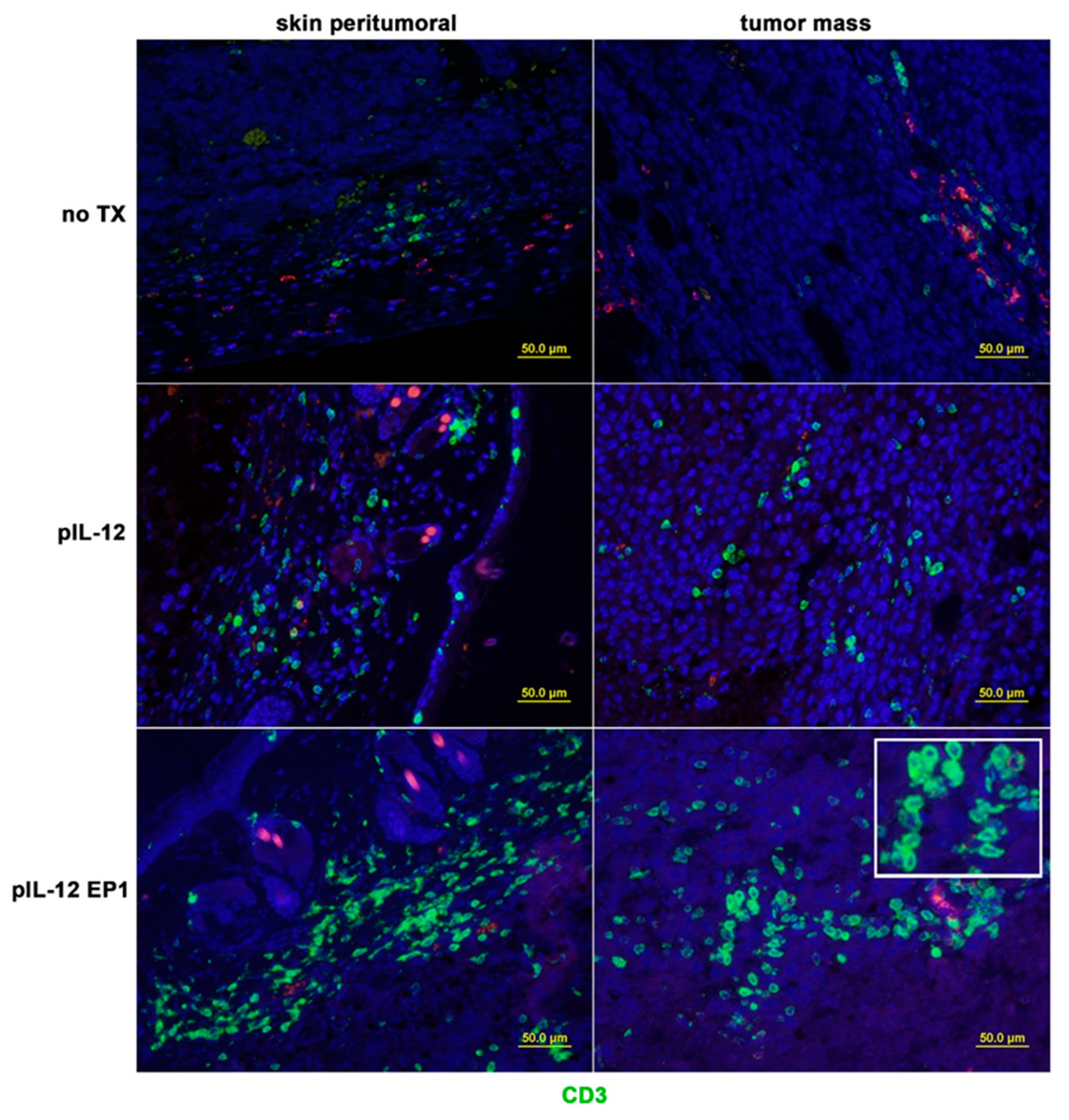 Cancers 10 00498 g002a