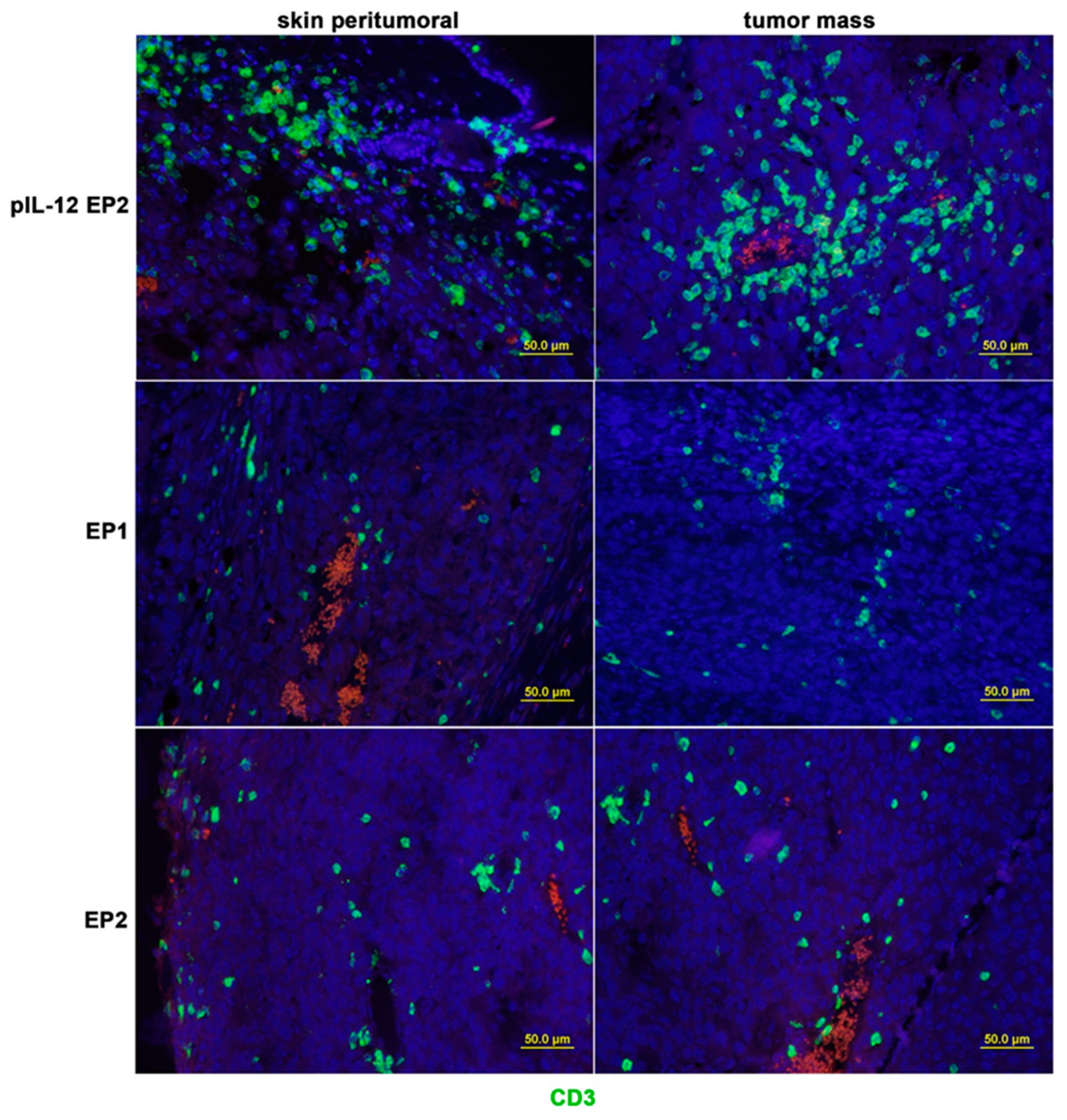 Cancers 10 00498 g002b