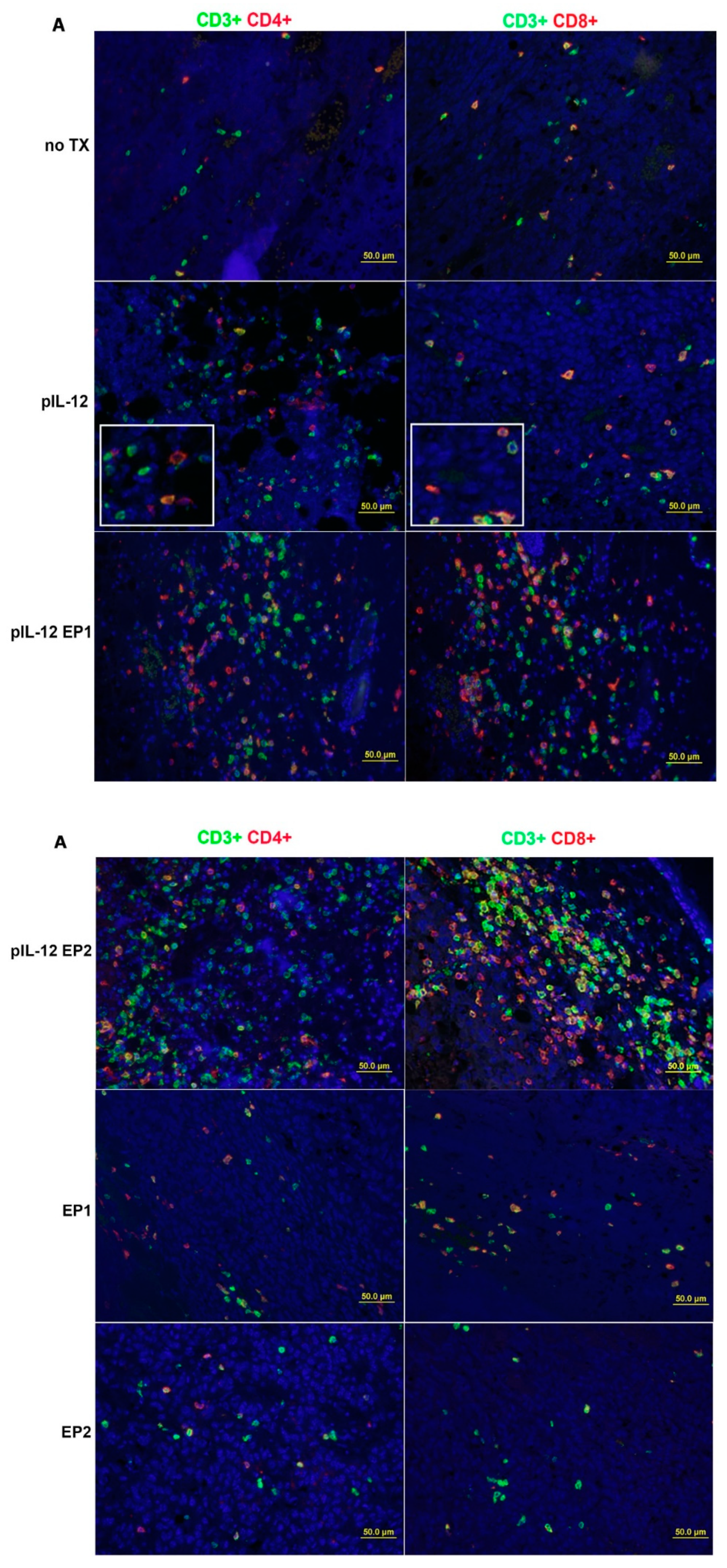 Cancers 10 00498 g003a