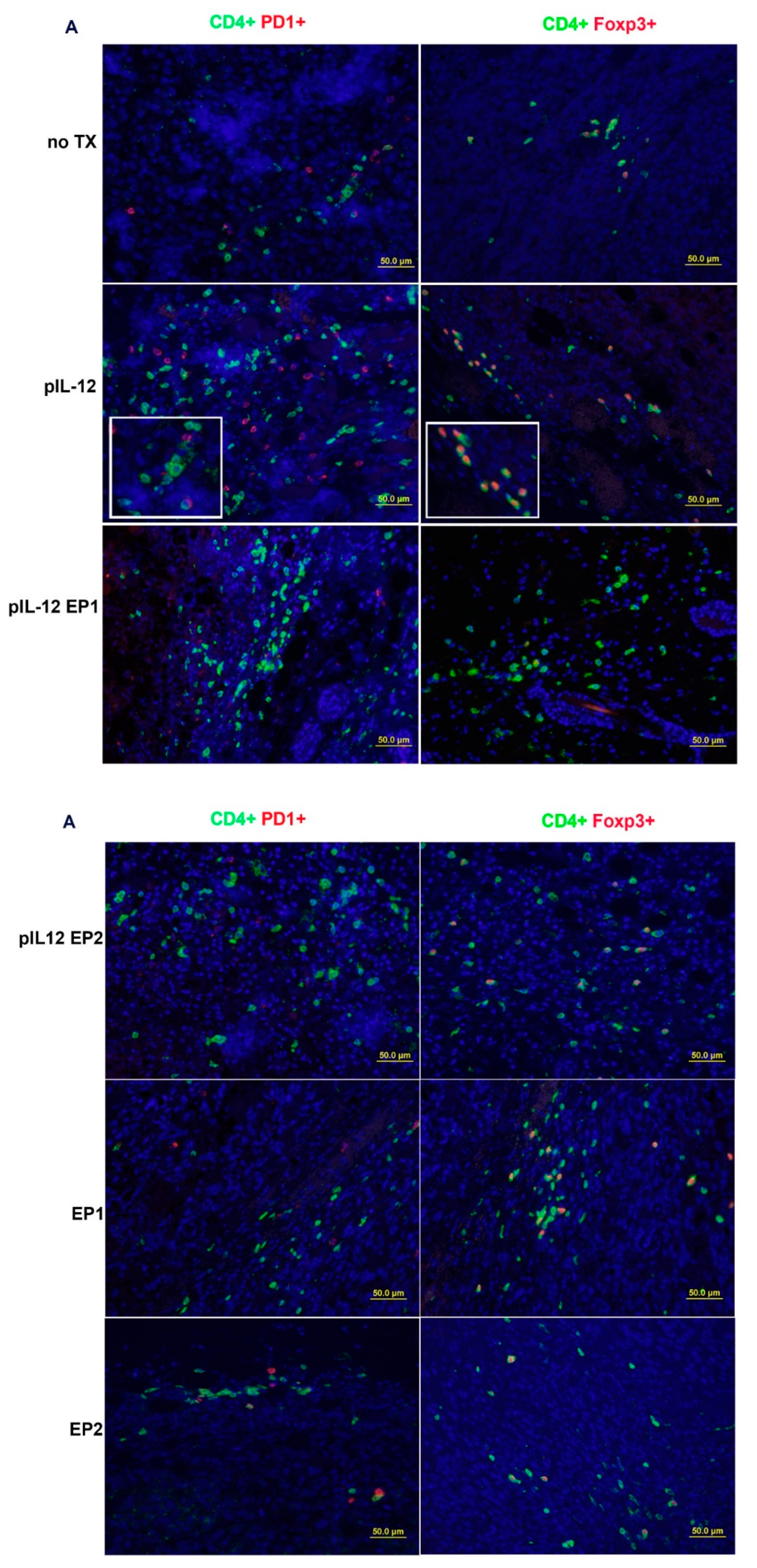 Cancers 10 00498 g004a