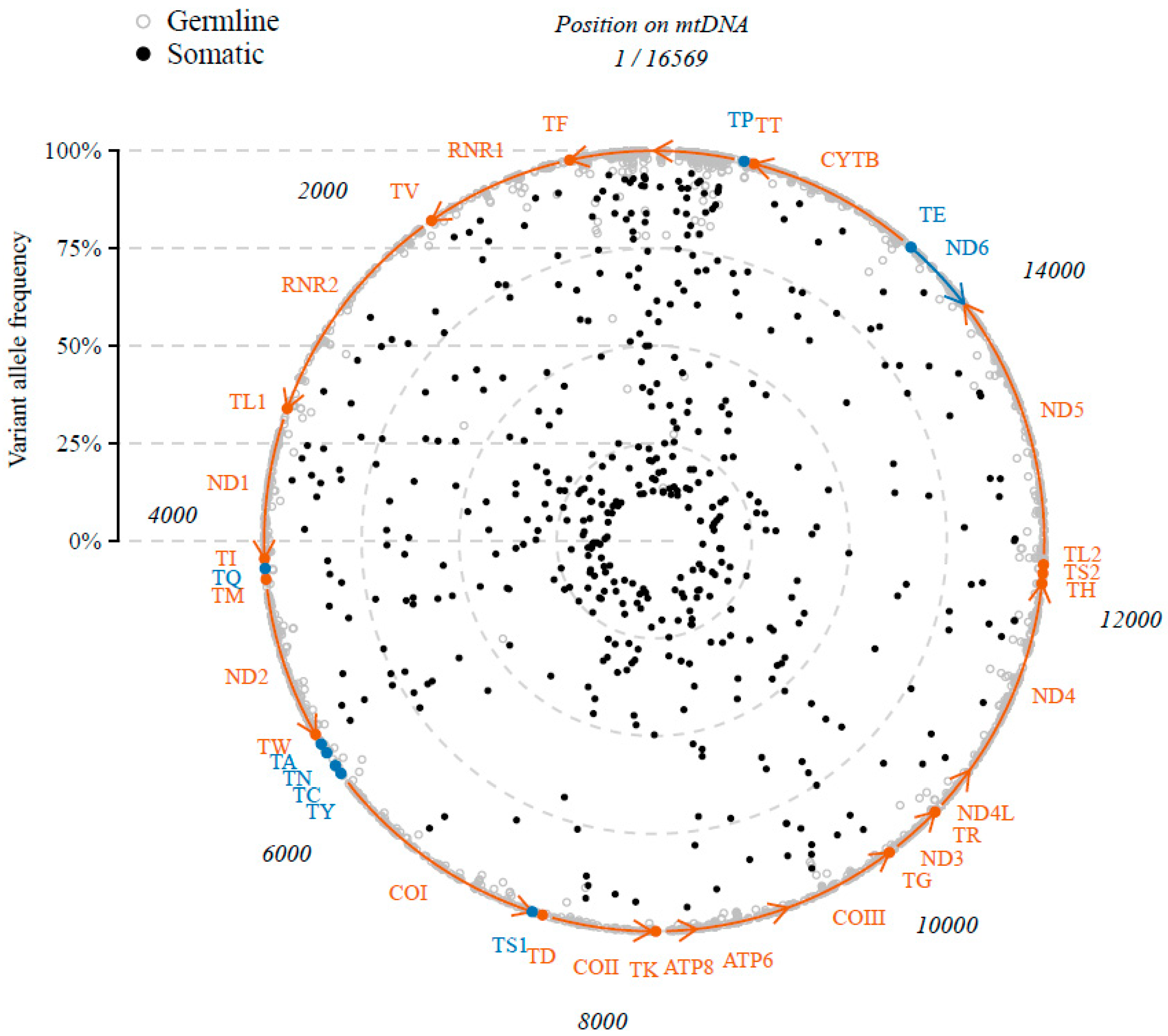 Cancers 10 00500 g001 Cancers 10 00500 g001