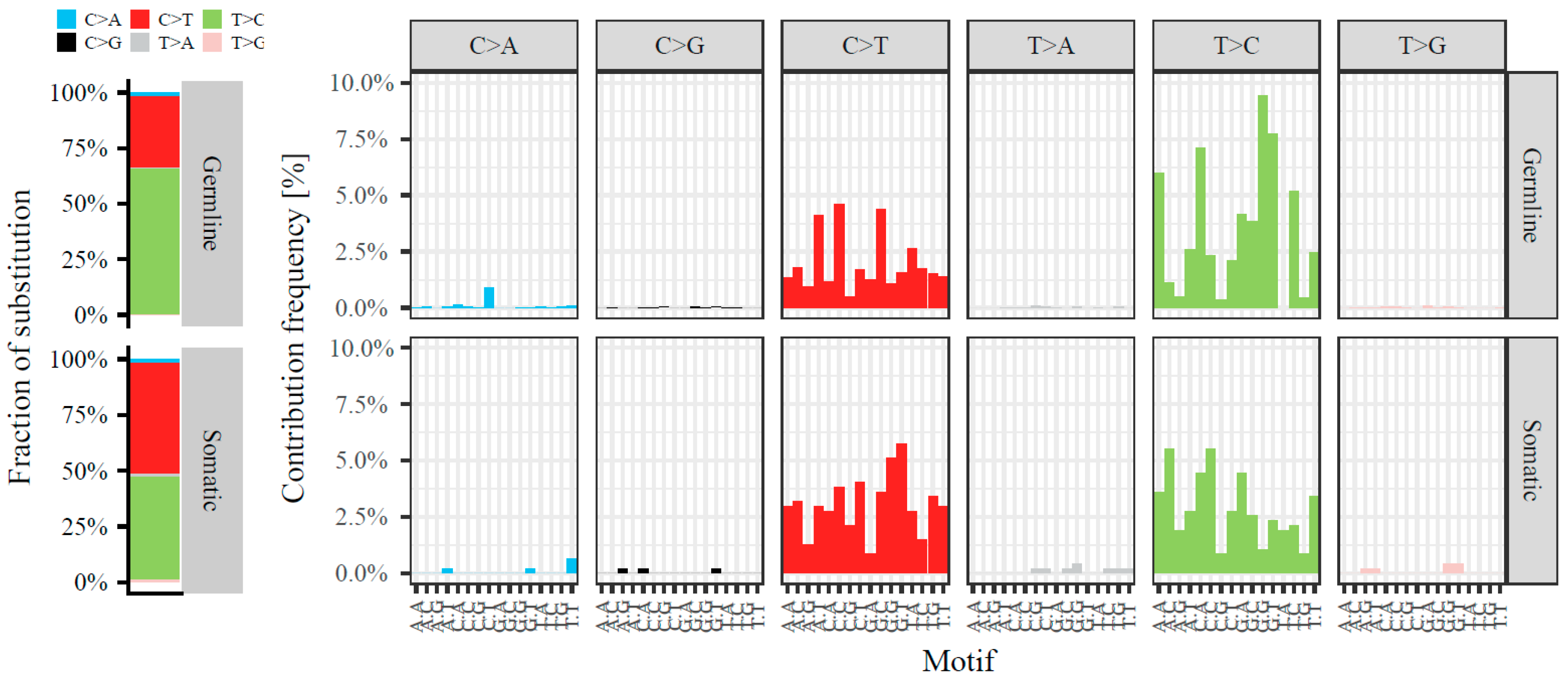 Cancers 10 00500 g004 Cancers 10 00500 g004