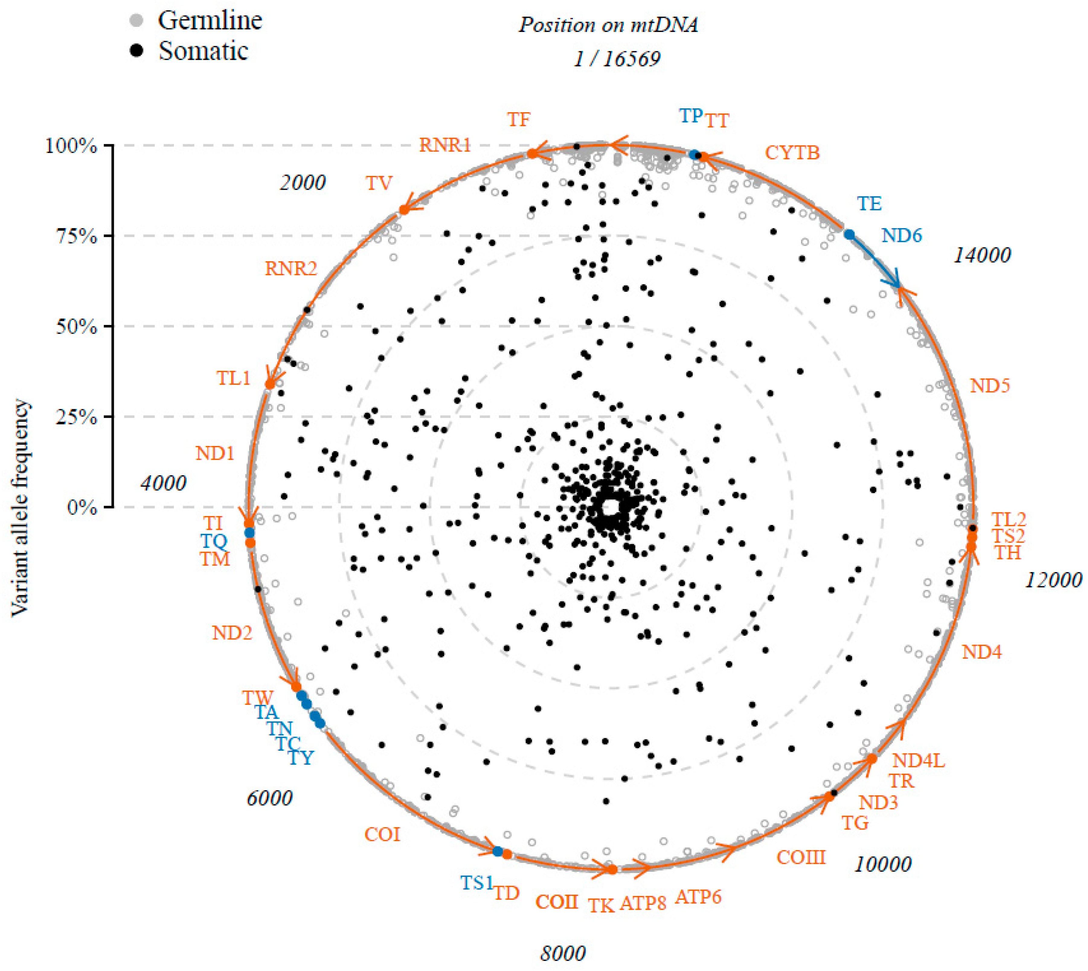 Cancers 10 00500 g0a1 Cancers 10 00500 g0a1