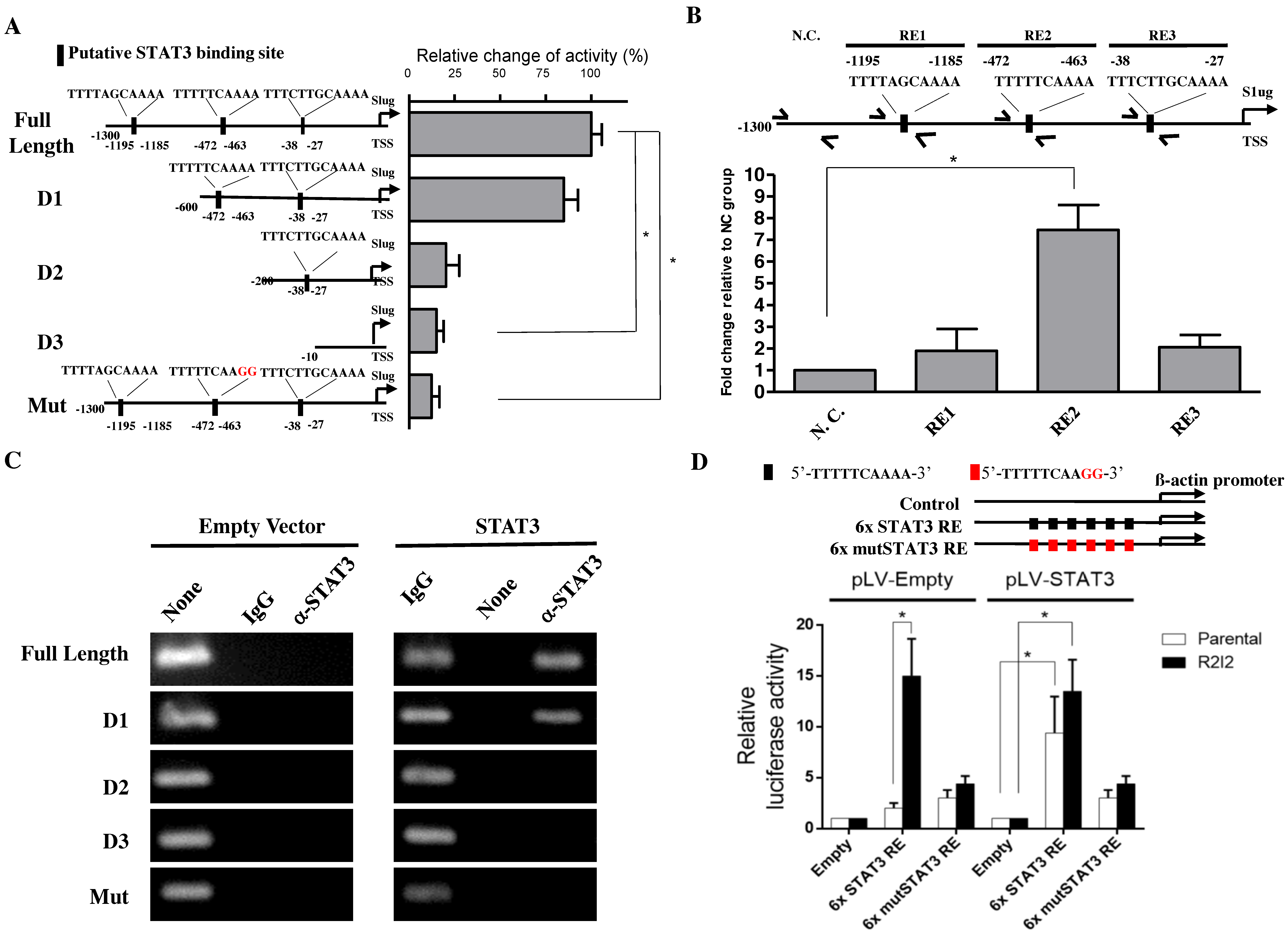 Cancers 10 00512 g003 Cancers 10 00512 g003