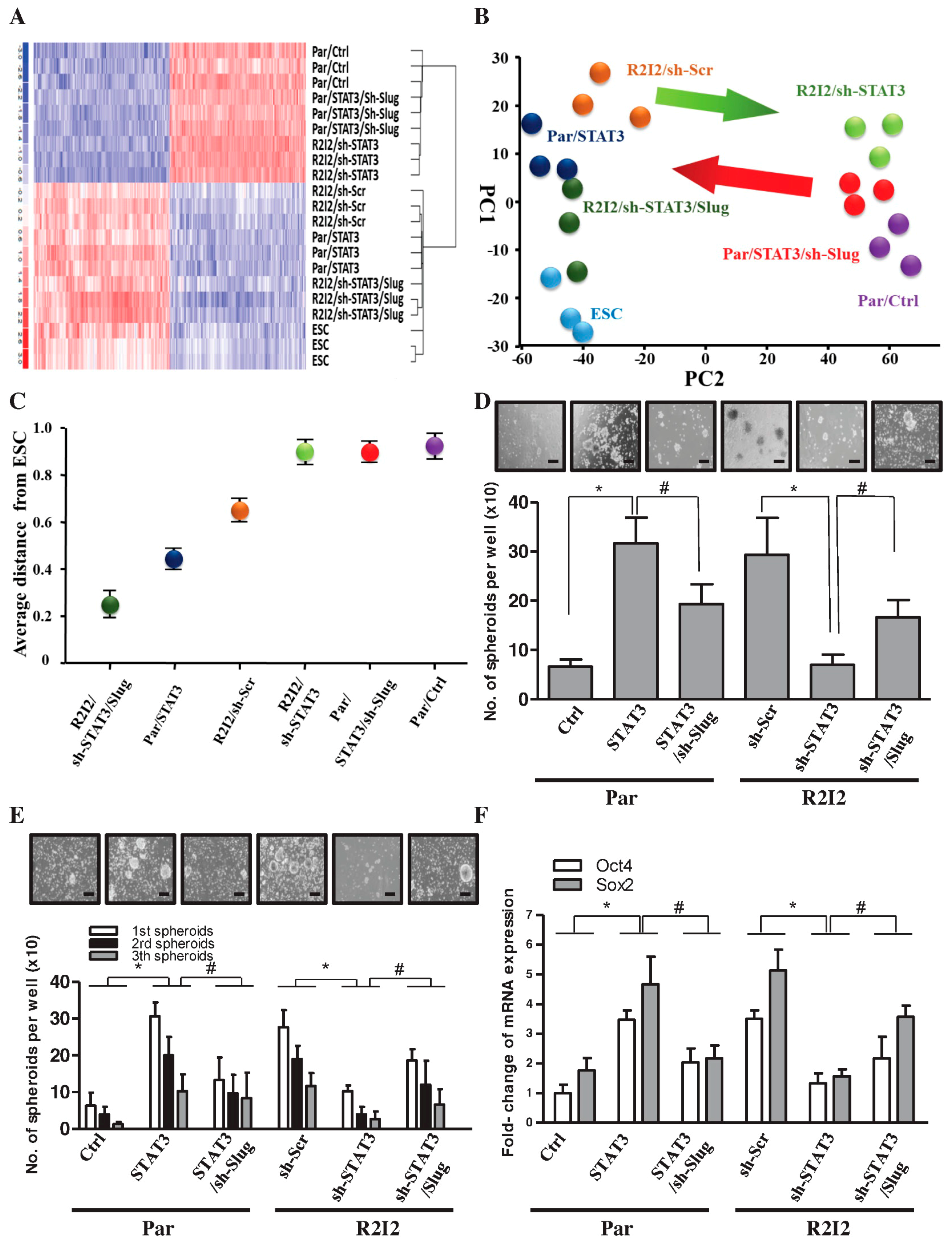 Cancers 10 00512 g004 Cancers 10 00512 g004