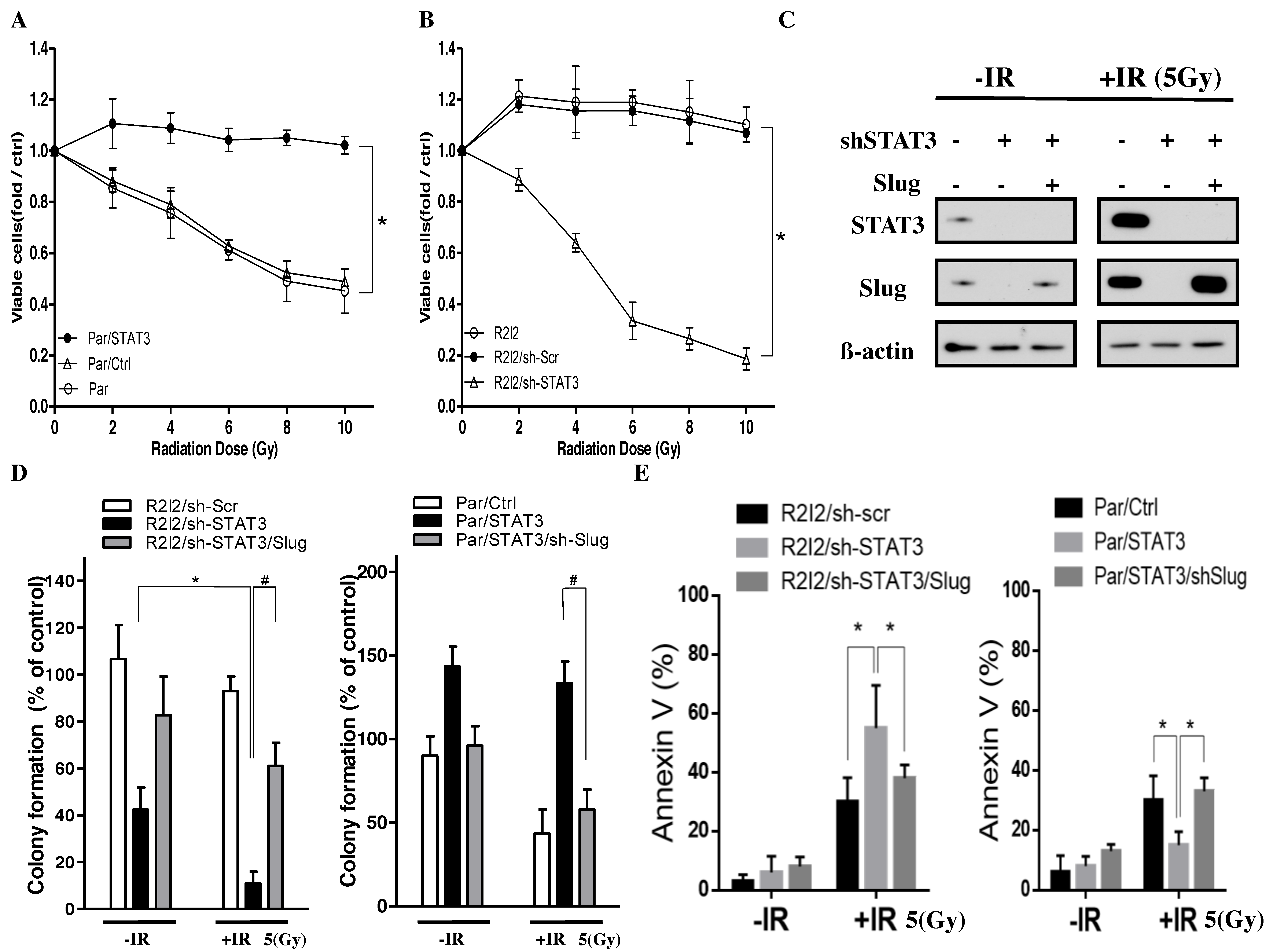 Cancers 10 00512 g005 Cancers 10 00512 g005
