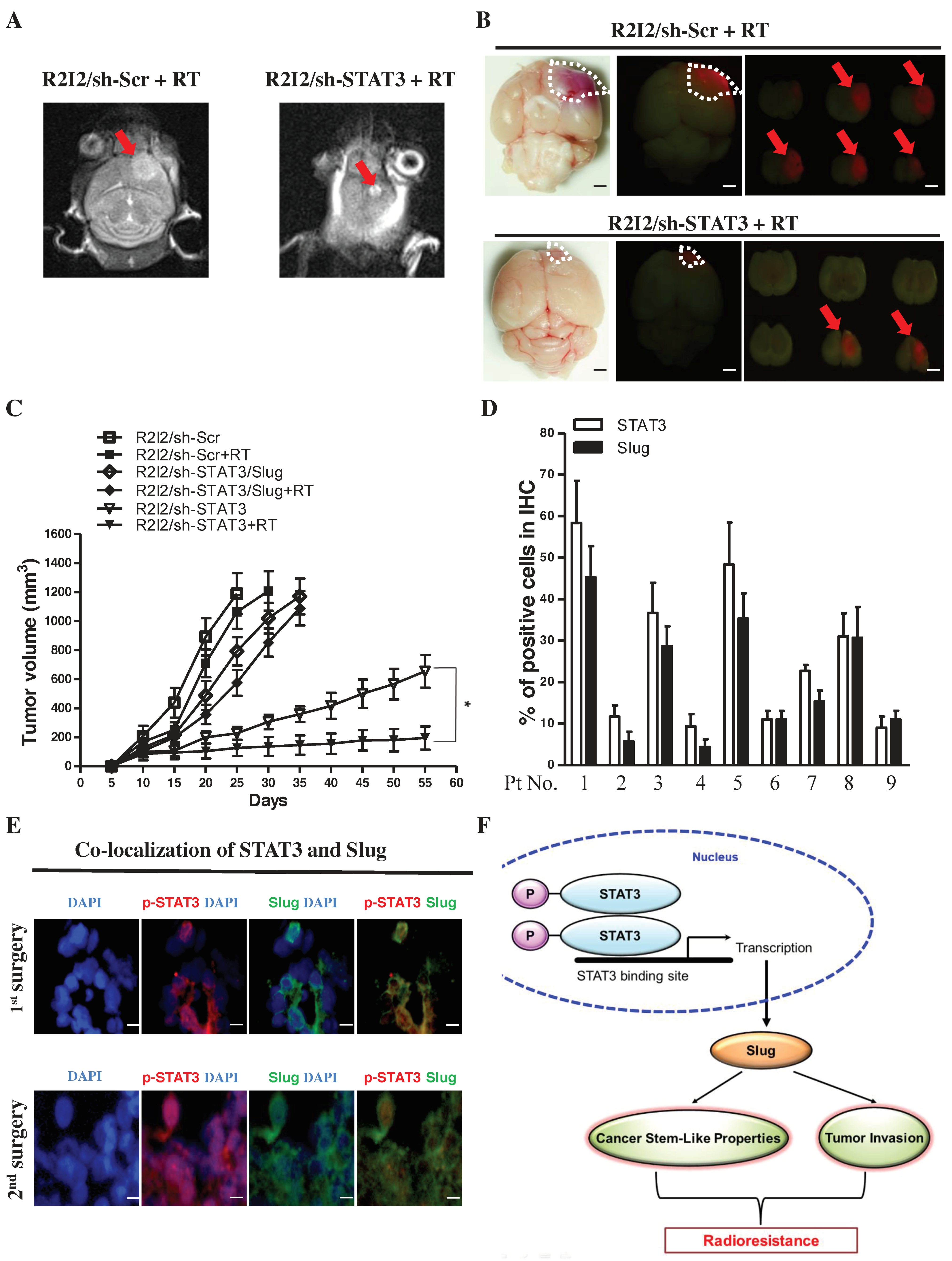 Cancers 10 00512 g006 Cancers 10 00512 g006