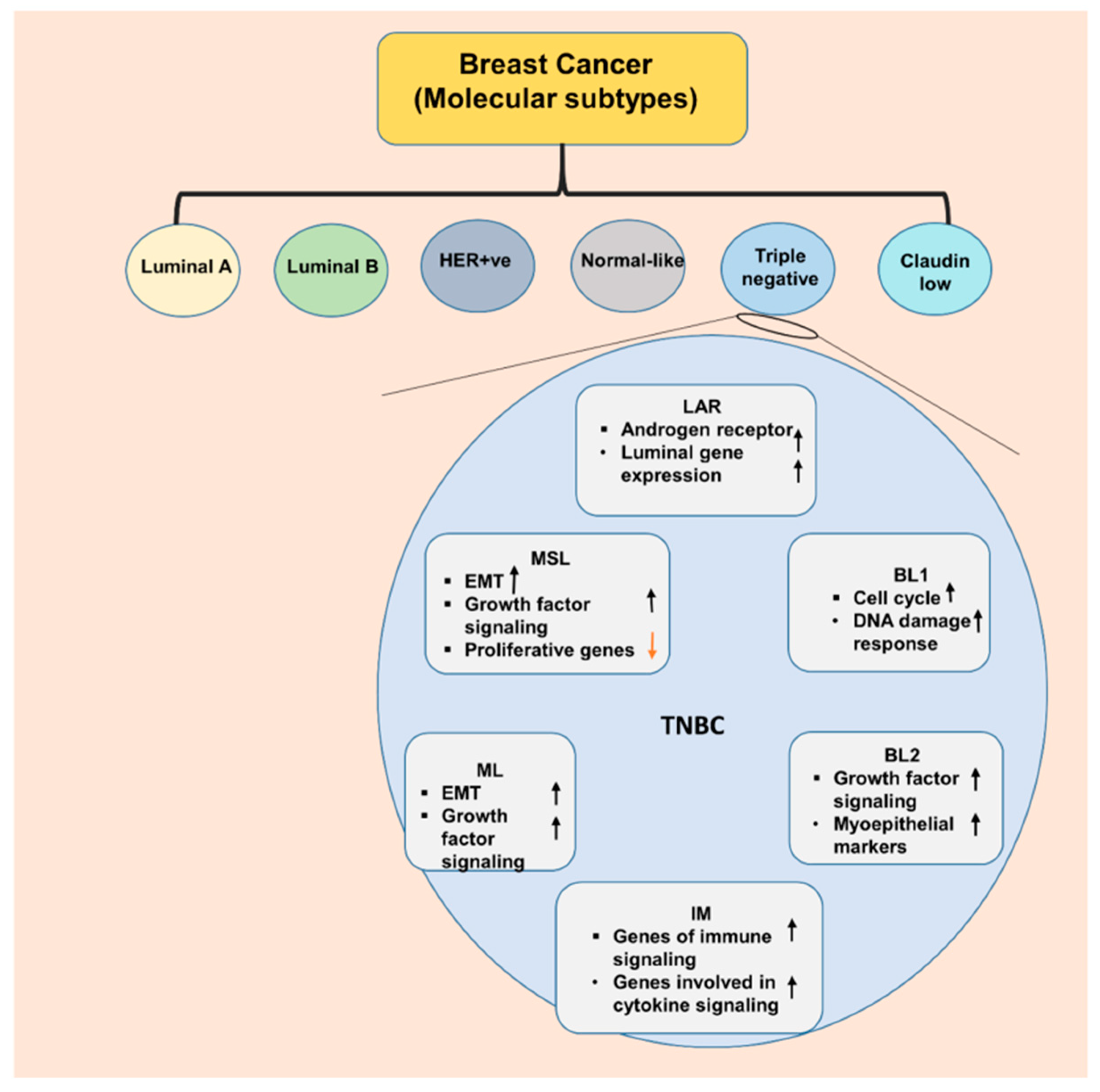 Novartis commits to addressing racial disparities in breast cancer  screening, tr