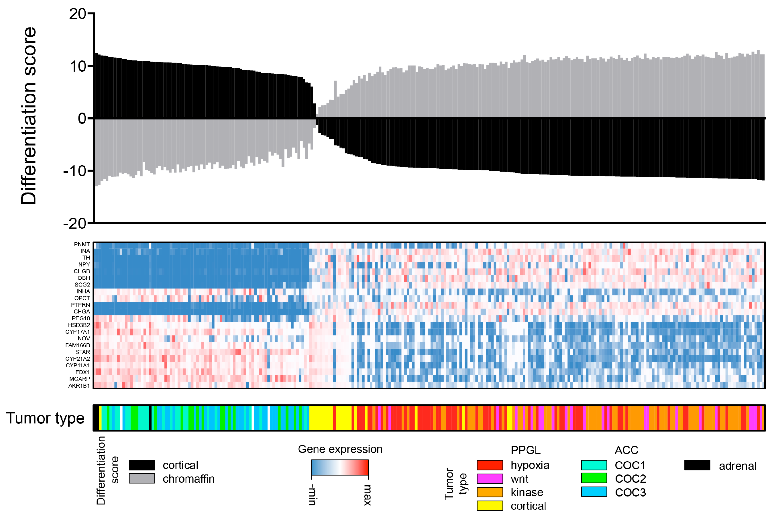 Cancers 10 00518 g002