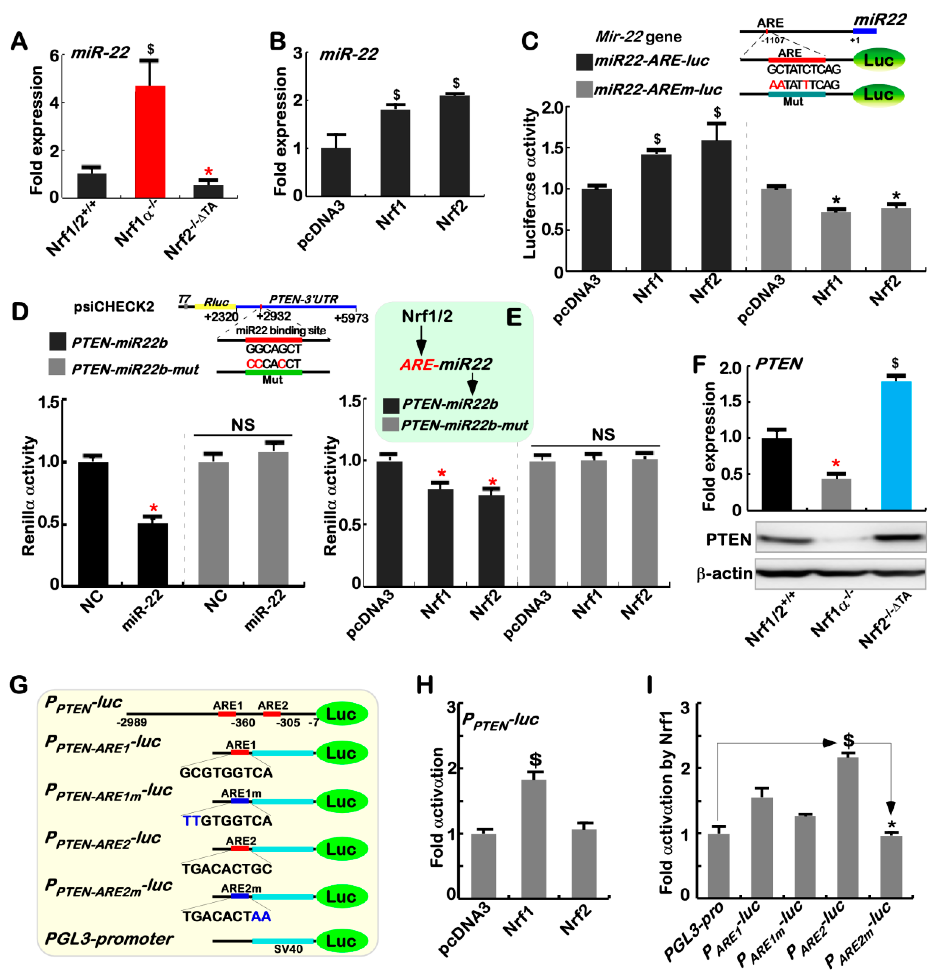 Cancers 10 00520 g003