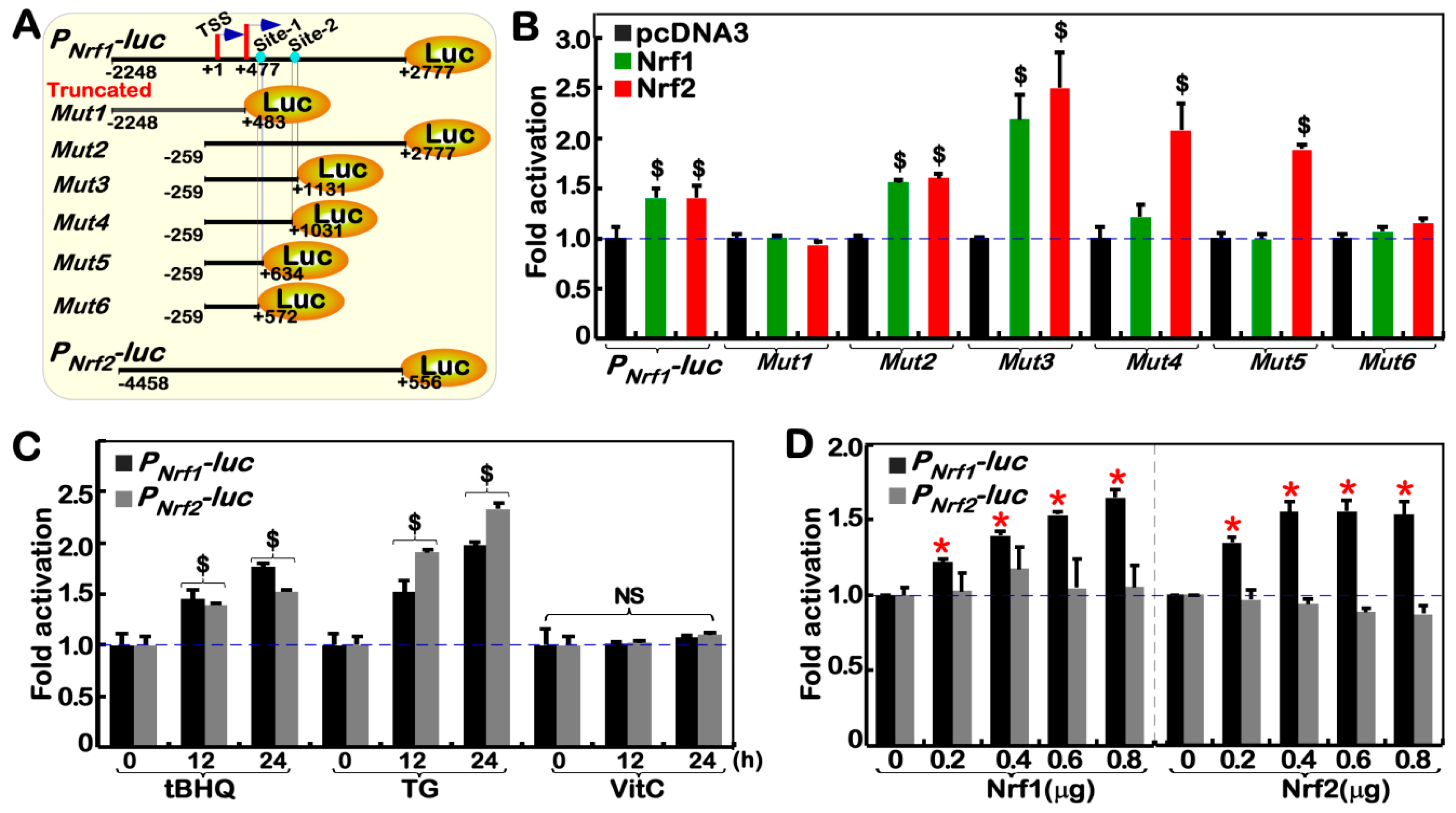 Cancers 10 00520 g005a