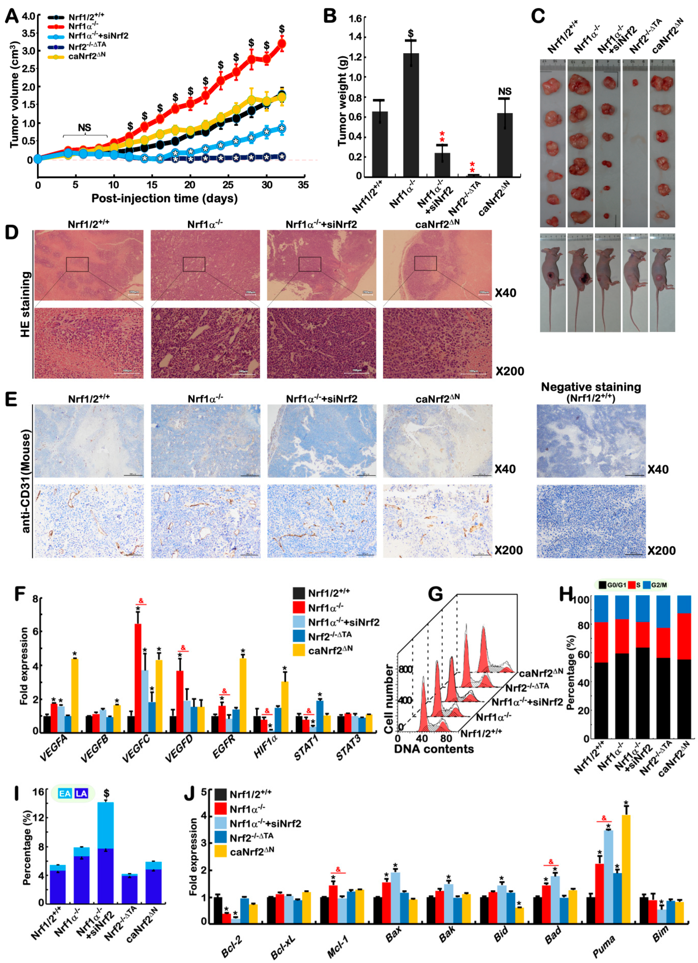 Cancers 10 00520 g006