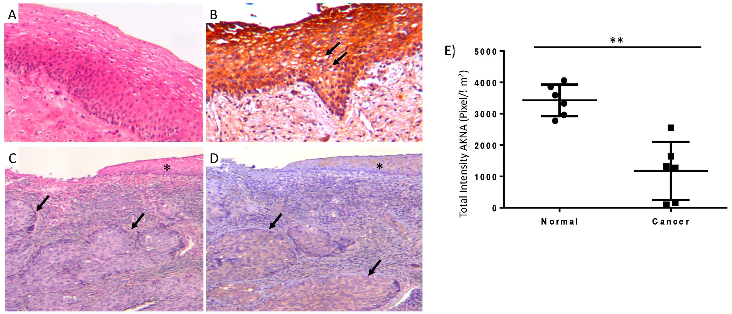 Cancers 10 00521 g001