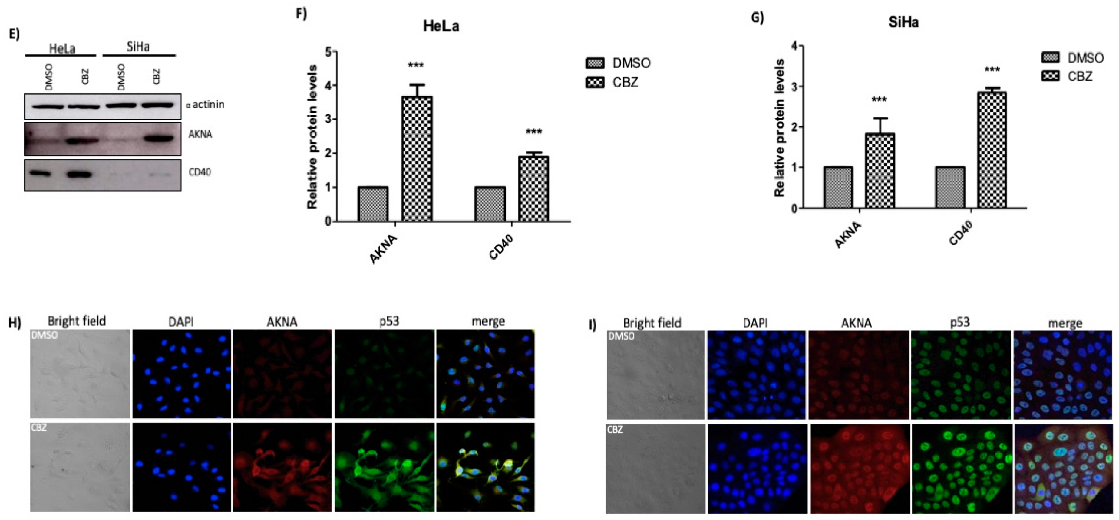 Cancers 10 00521 g003b