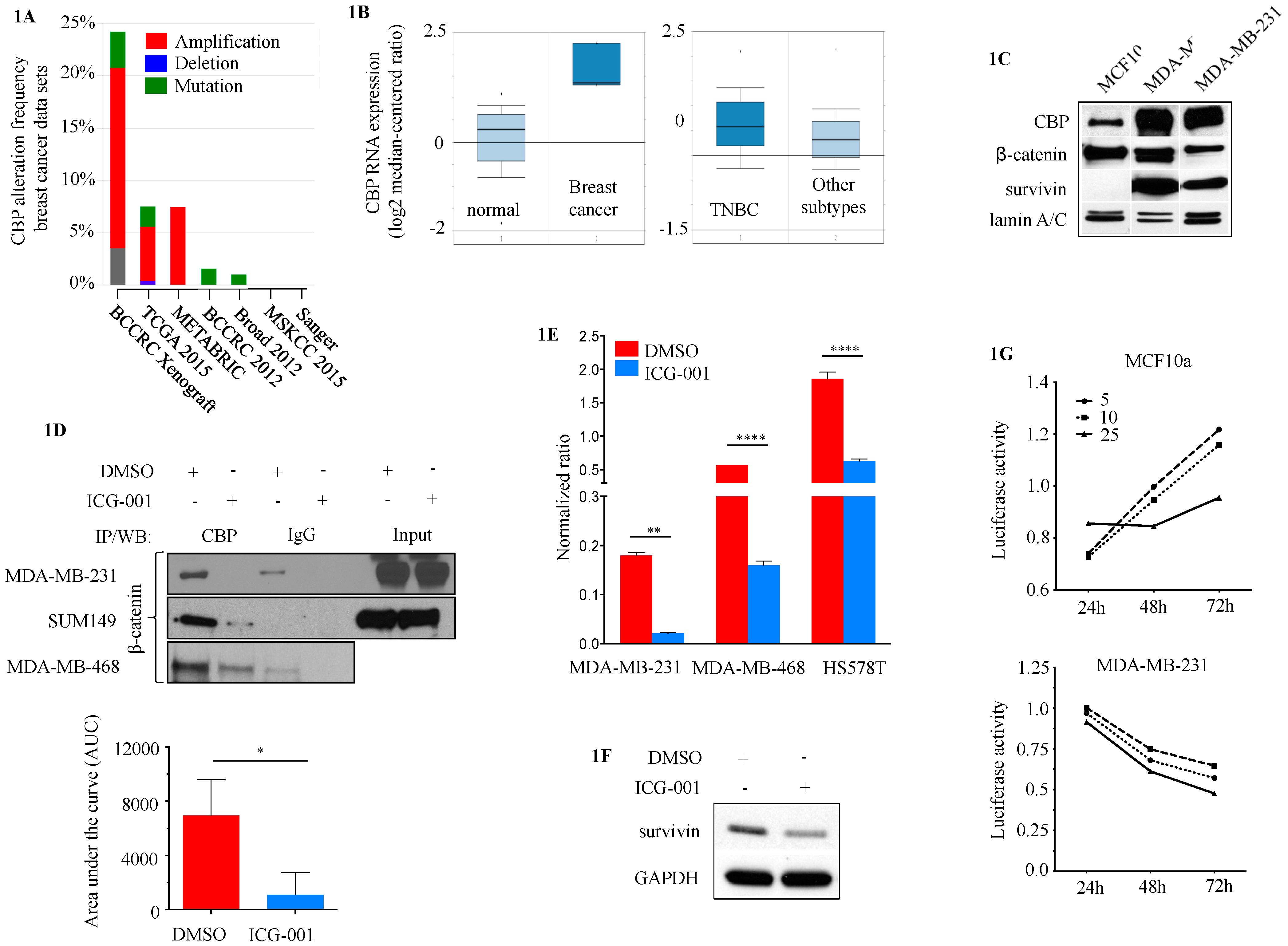 Cancers 10 00525 g001