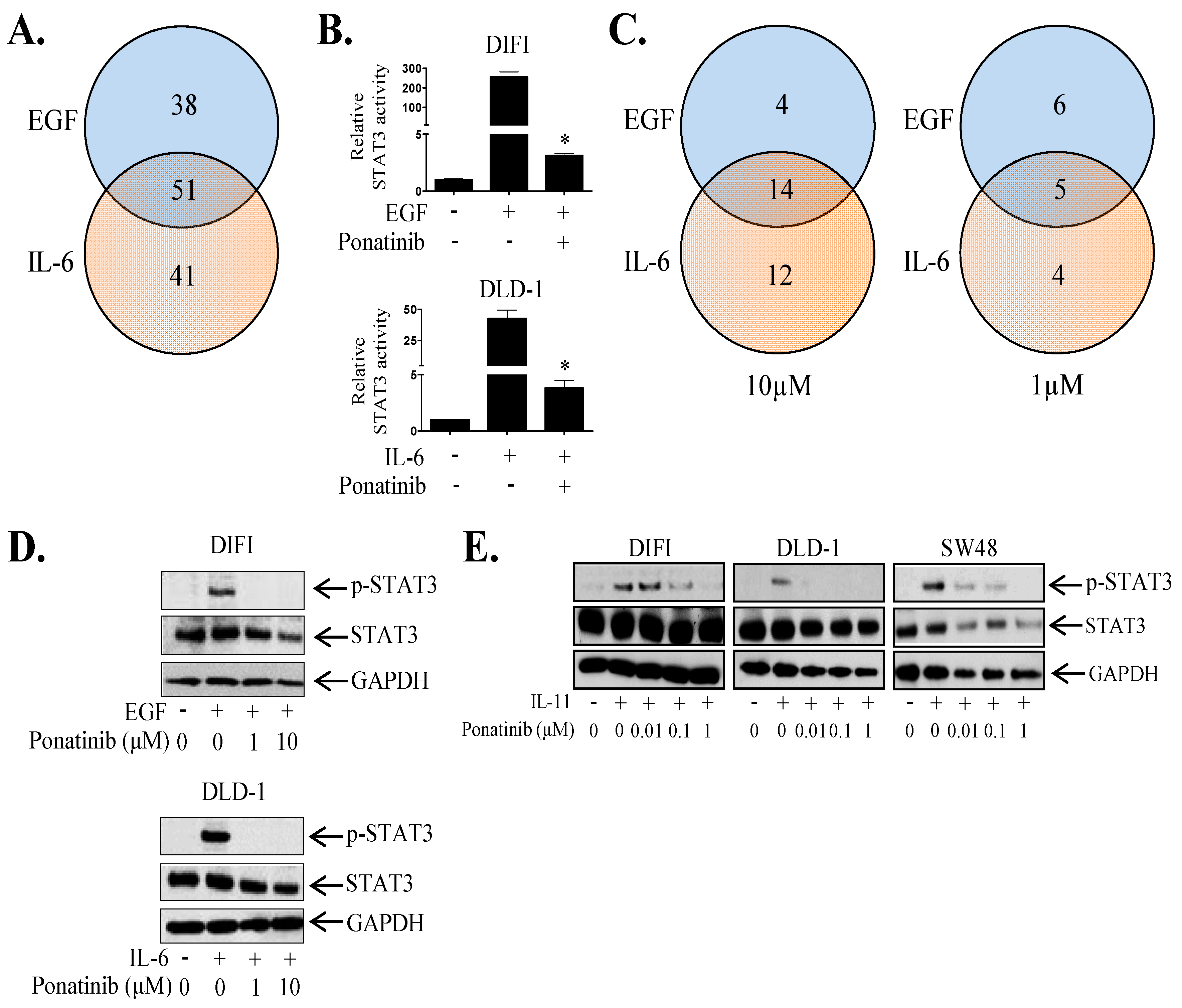 Cancers 10 00526 g002 Cancers 10 00526 g002