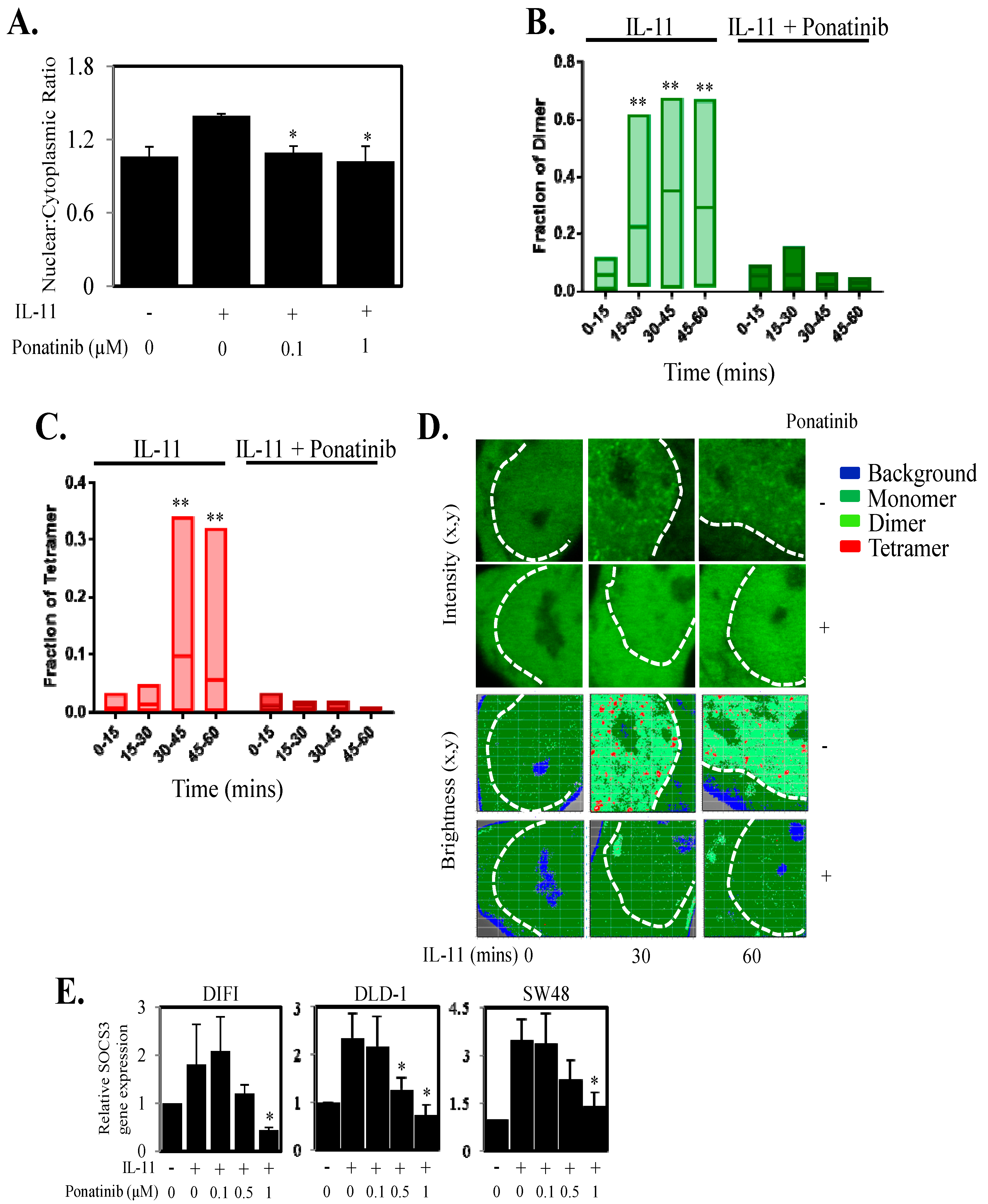 Cancers 10 00526 g003 Cancers 10 00526 g003