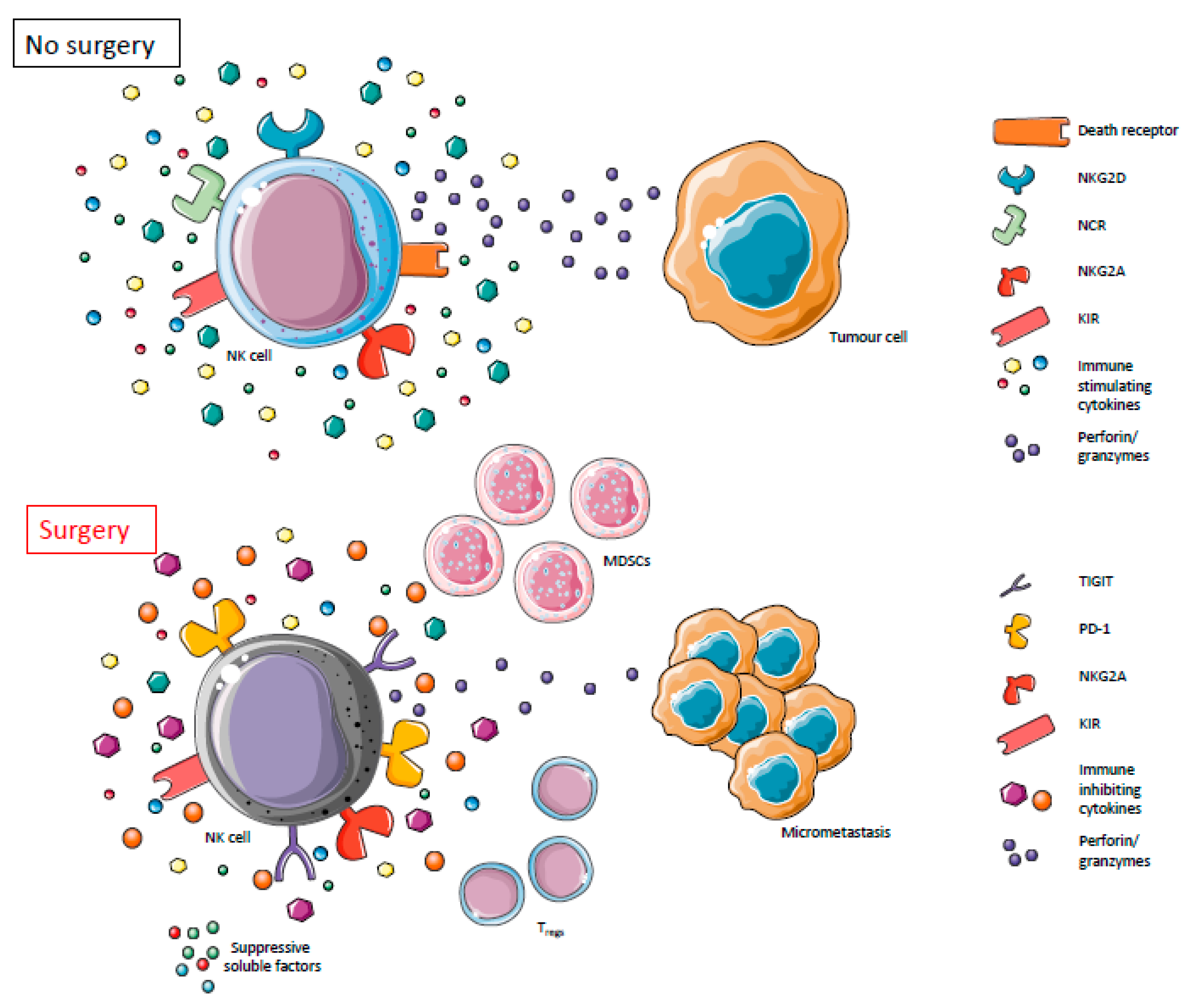 Cancers Free Full Text The Potential For Cancer - 