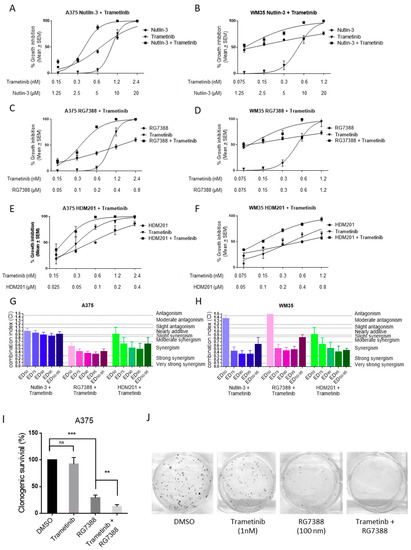 Cancers Free Full Text Atm Dependent Dusp6 Modulation Of P53 Involved In Synergistic Targeting Of Mapk And P53 Pathways With Trametinib And Mdm2 Inhibitors In Cutaneous Melanoma Html Cancers Free Full Text Atm Dependent Dusp6 Modulation Of P53 Involved In Synergistic Targeting Of Mapk And P53 Pathways With Trametinib And Mdm2 Inhibitors In Cutaneous Melanoma Html