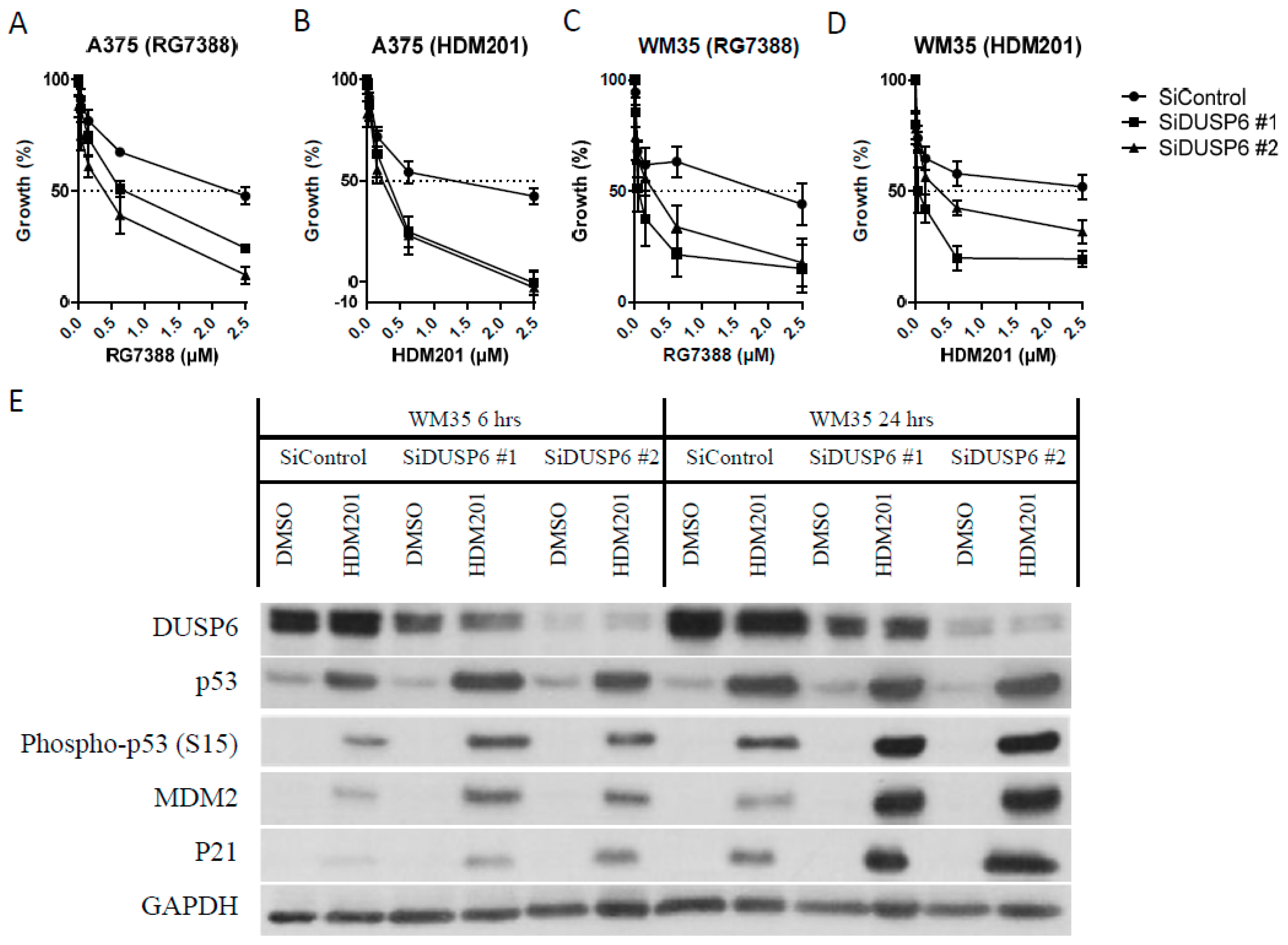 Cancers 11 00003 g005a Cancers 11 00003 g005a