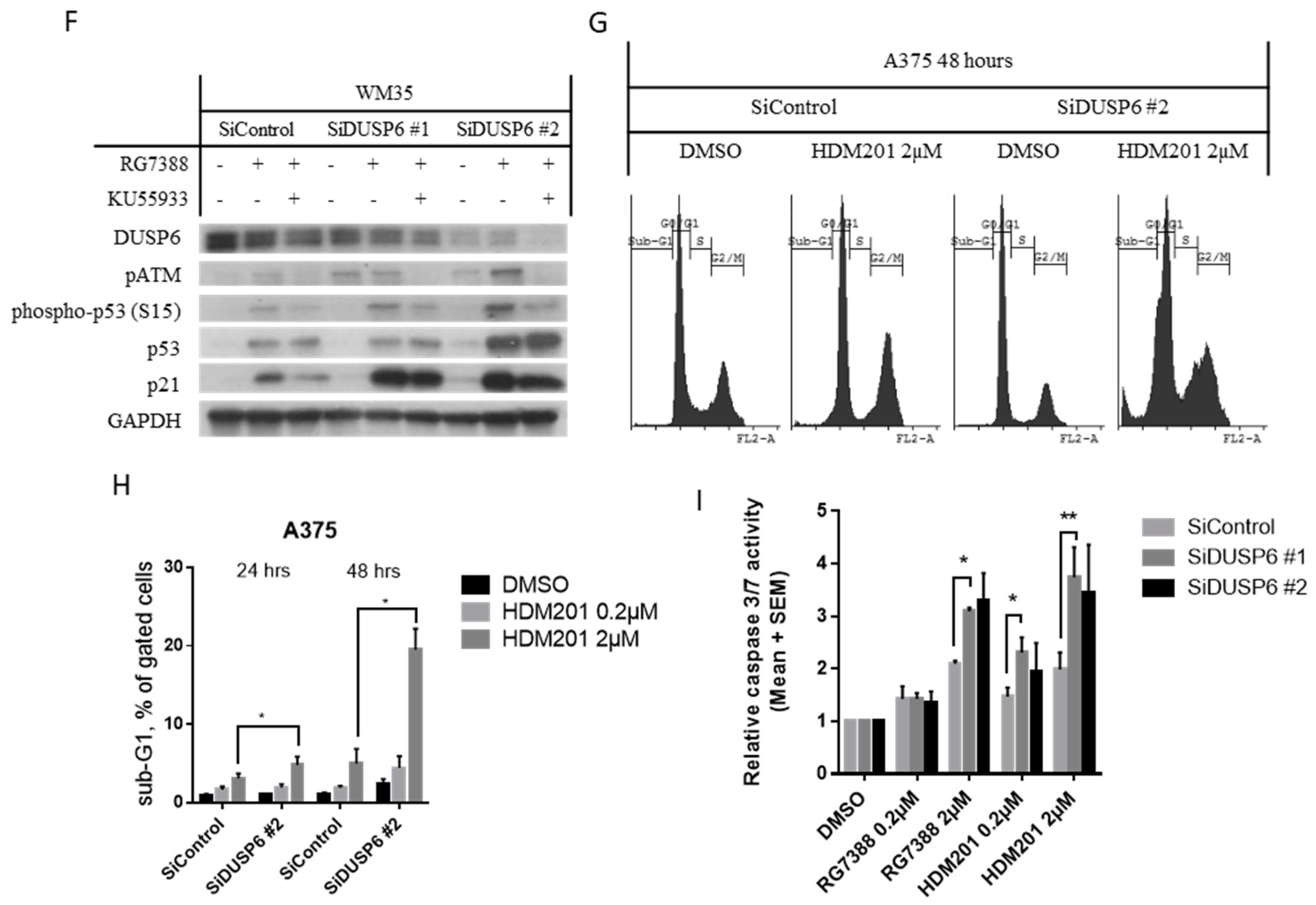 Cancers 11 00003 g005b Cancers 11 00003 g005b