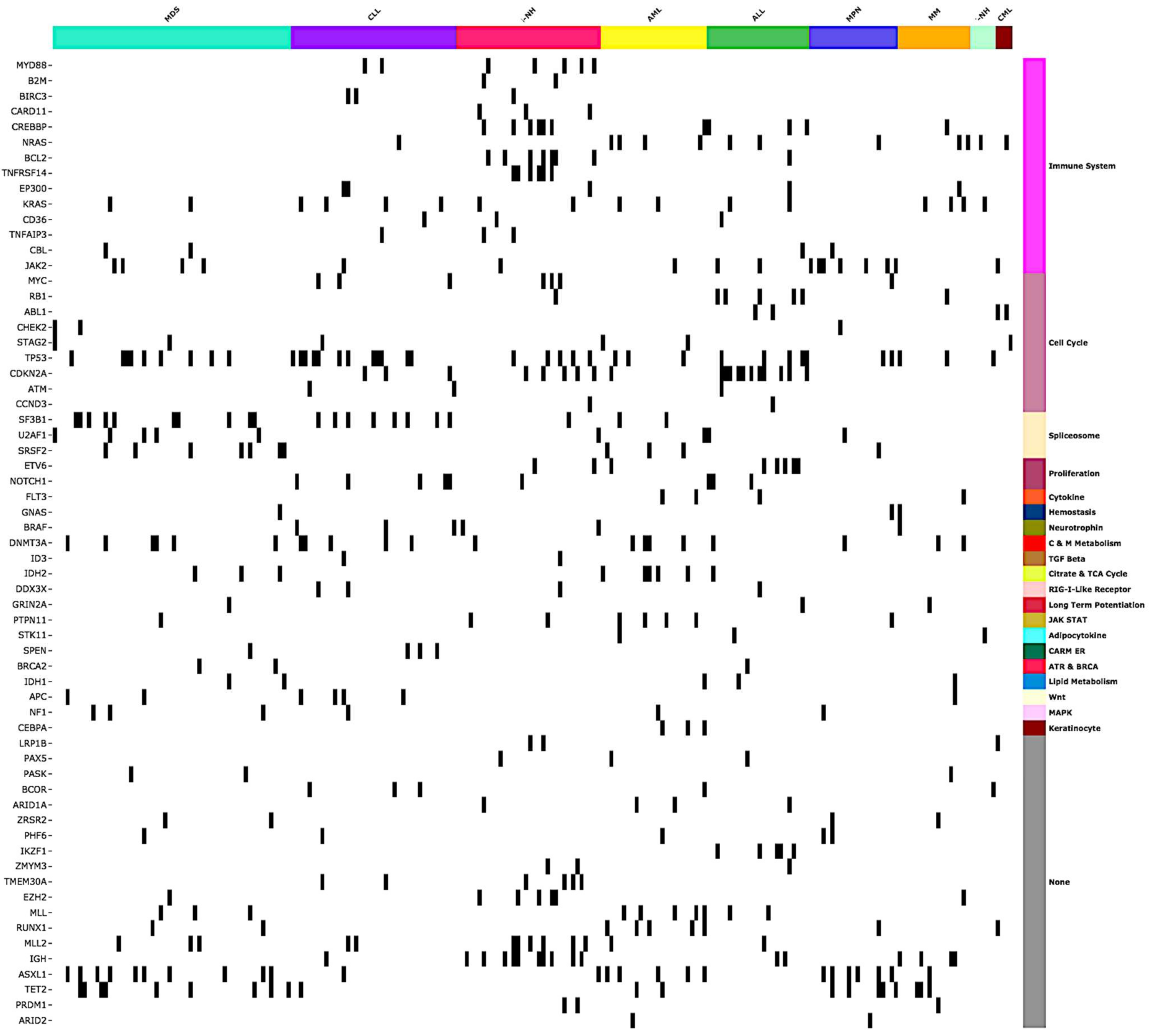 Cancers 11 00011 g002