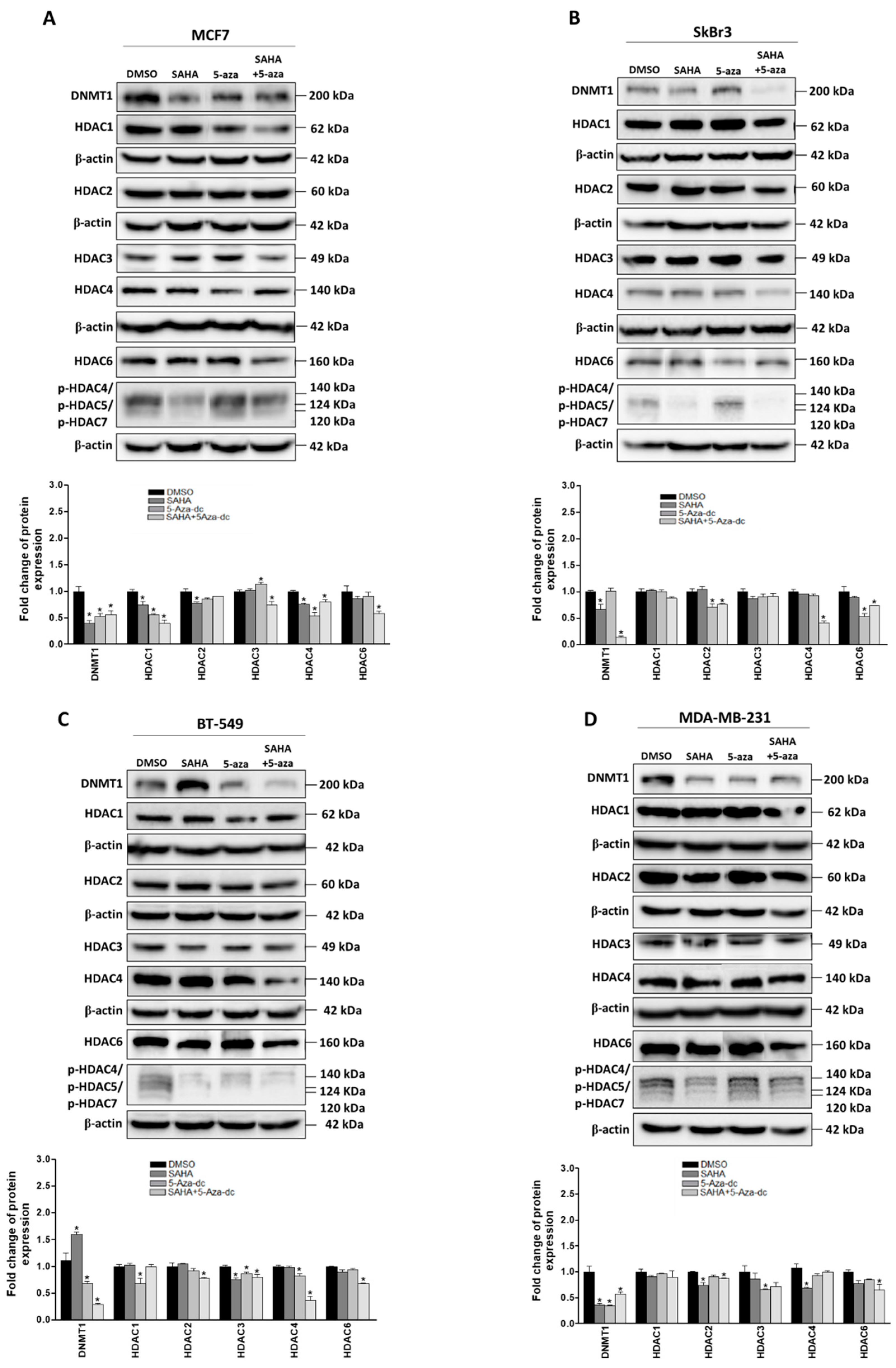 Cancers 11 00013 g003 Cancers 11 00013 g003
