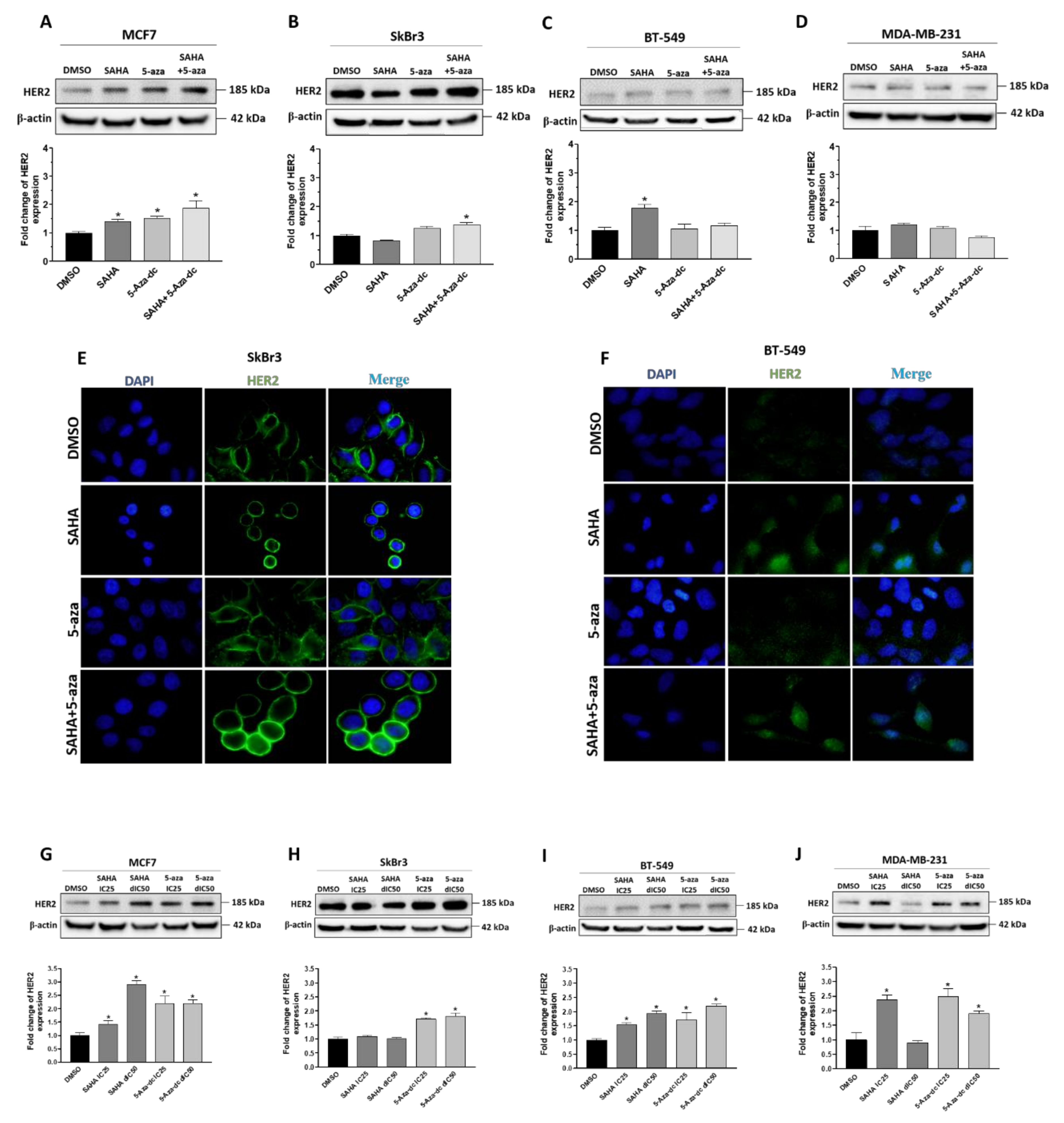 Cancers 11 00013 g005 Cancers 11 00013 g005