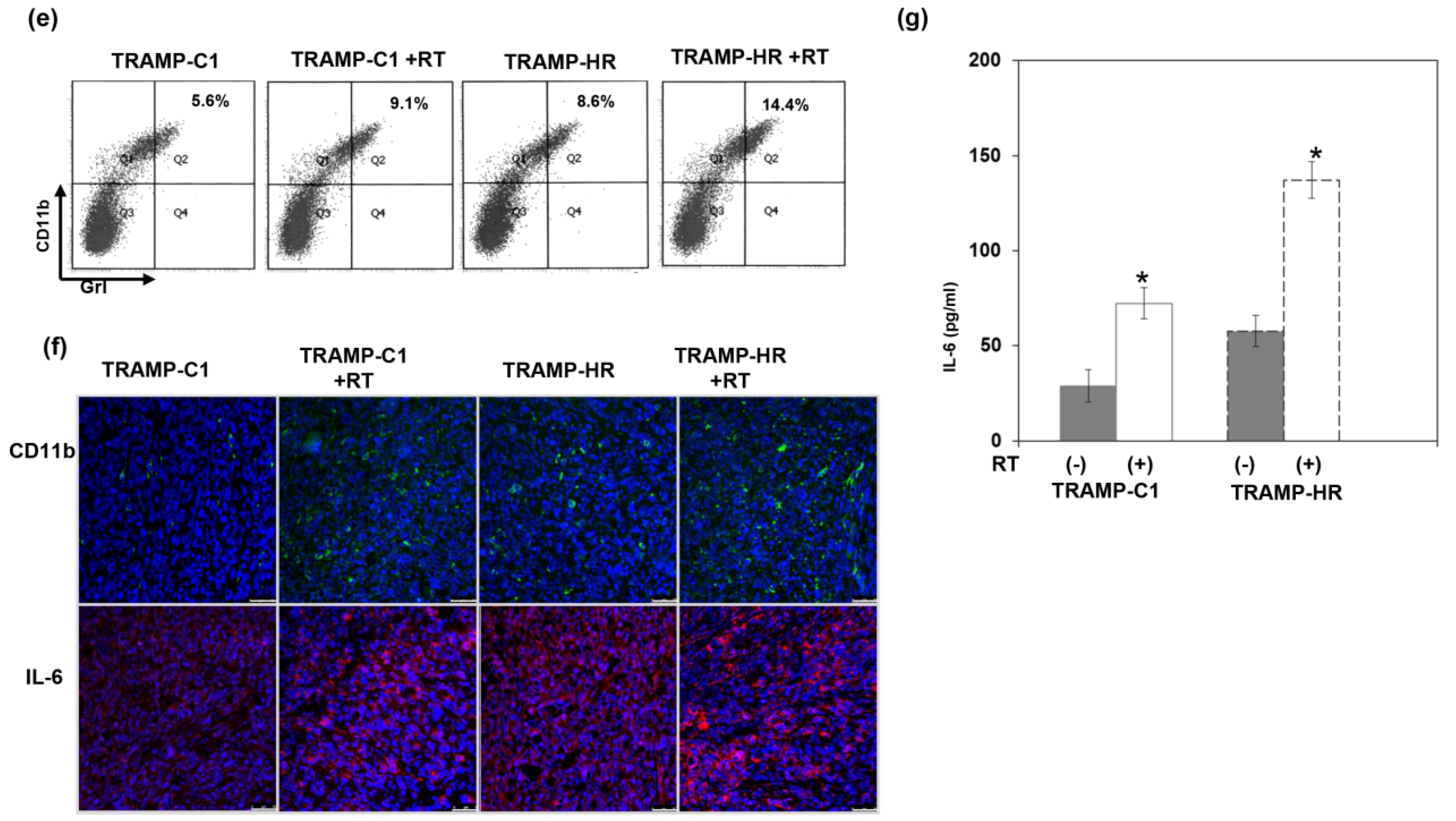 Cancers 11 00020 g003b Cancers 11 00020 g003b