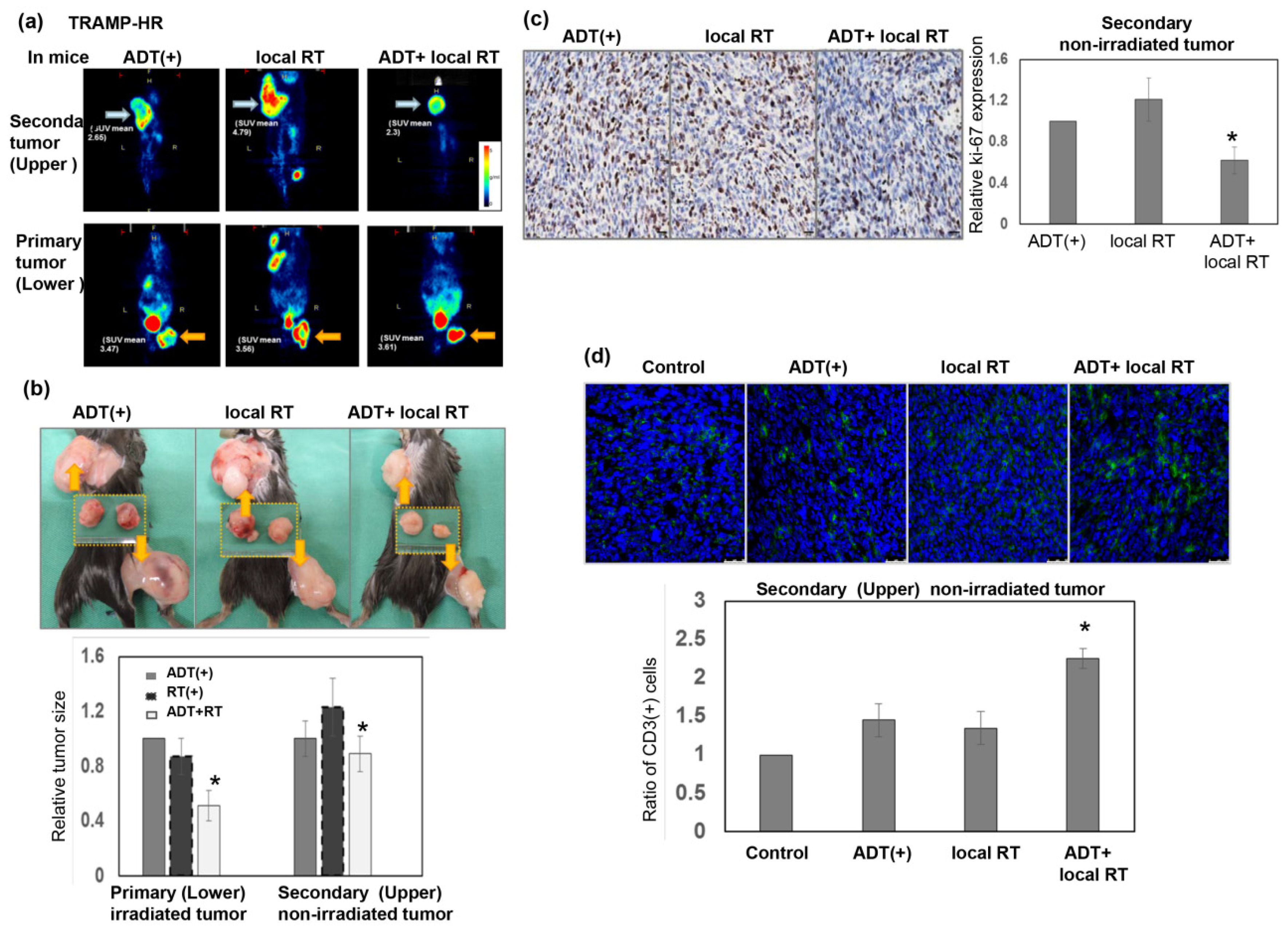 Cancers 11 00020 g005 Cancers 11 00020 g005
