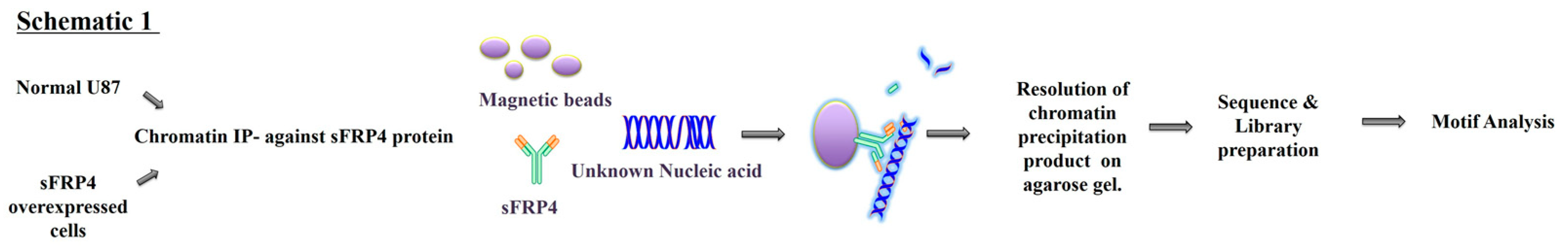 Cancers 11 00025 g001a Cancers 11 00025 g001a