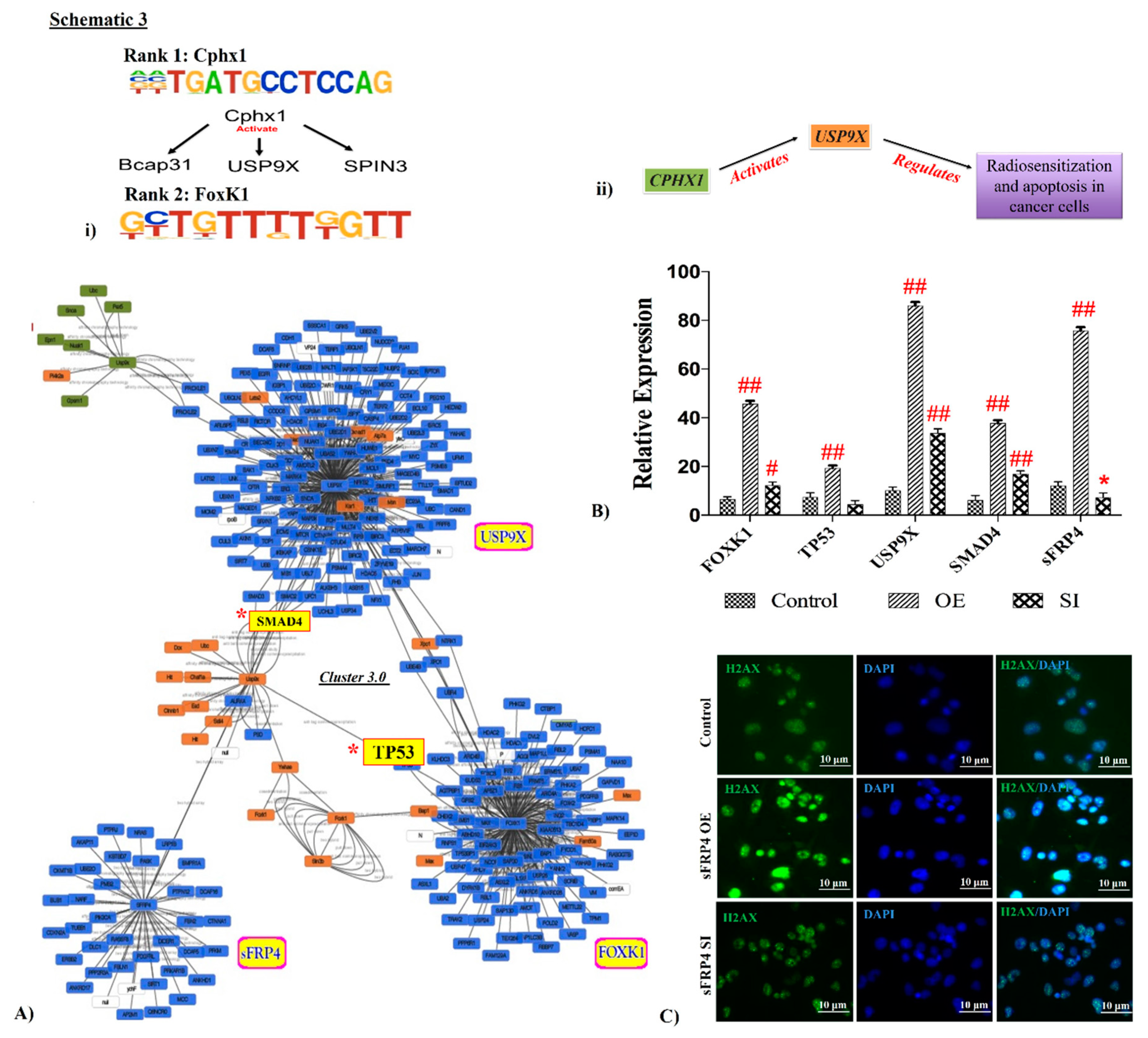 Cancers 11 00025 g002 Cancers 11 00025 g002