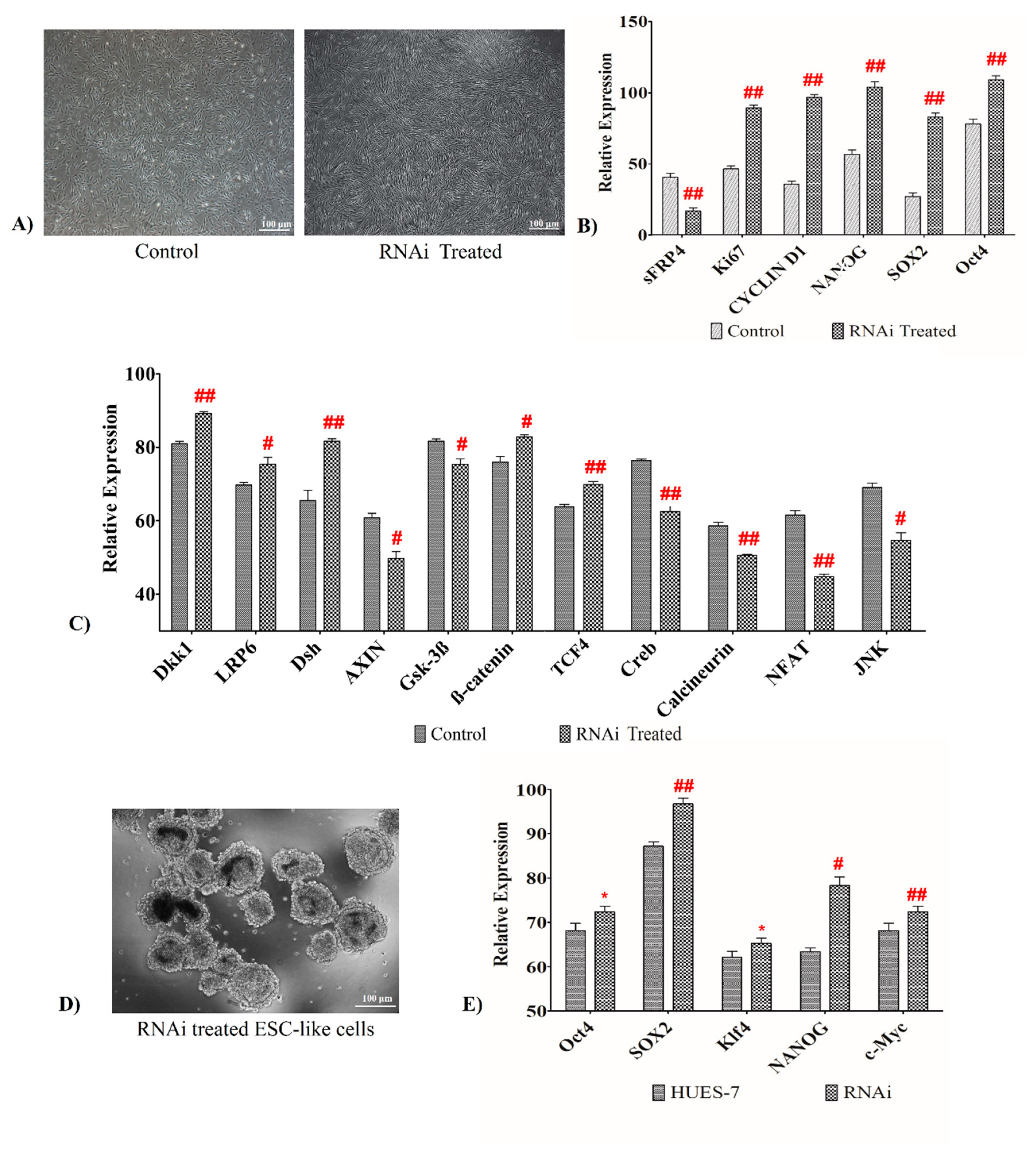 Cancers 11 00025 g005 Cancers 11 00025 g005