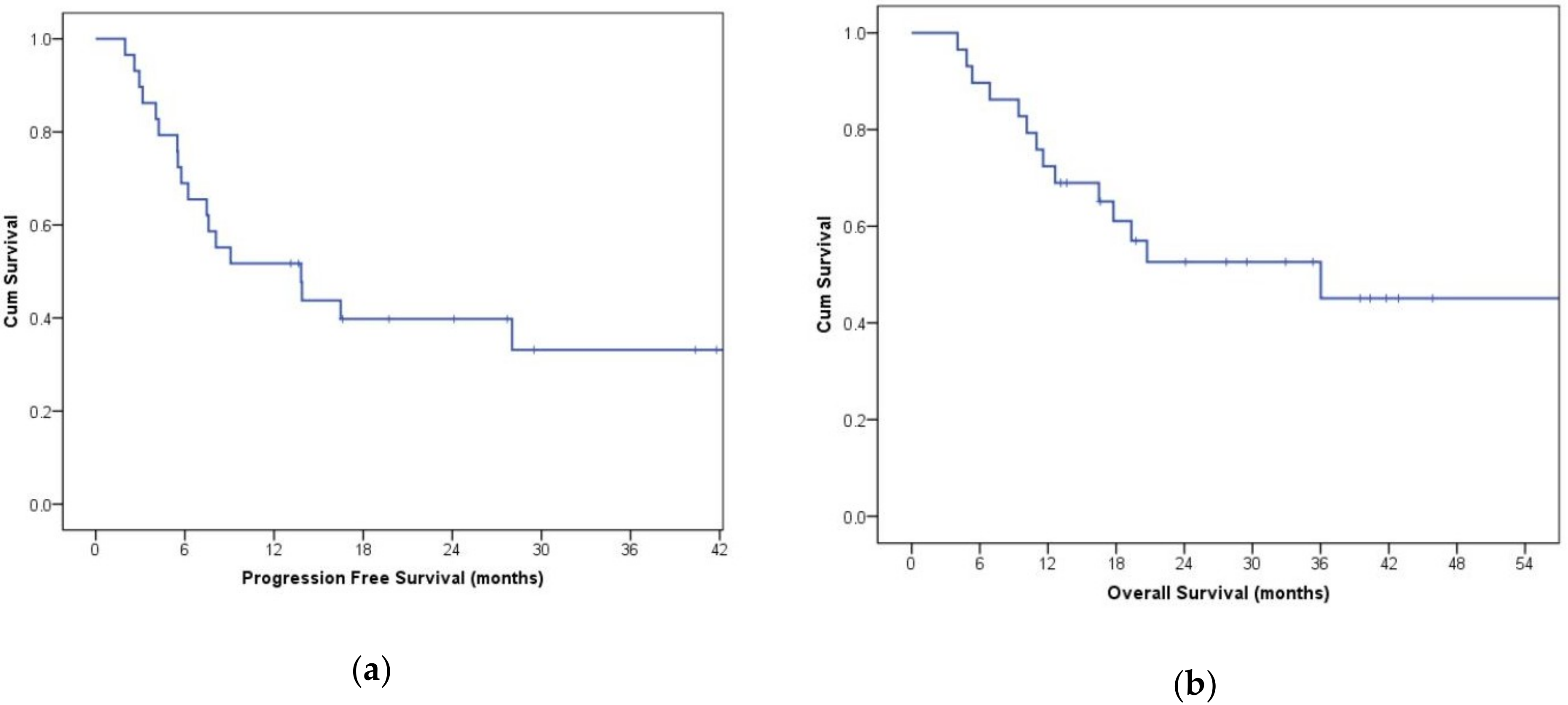 Cancers 11 00030 g006 Cancers 11 00030 g006