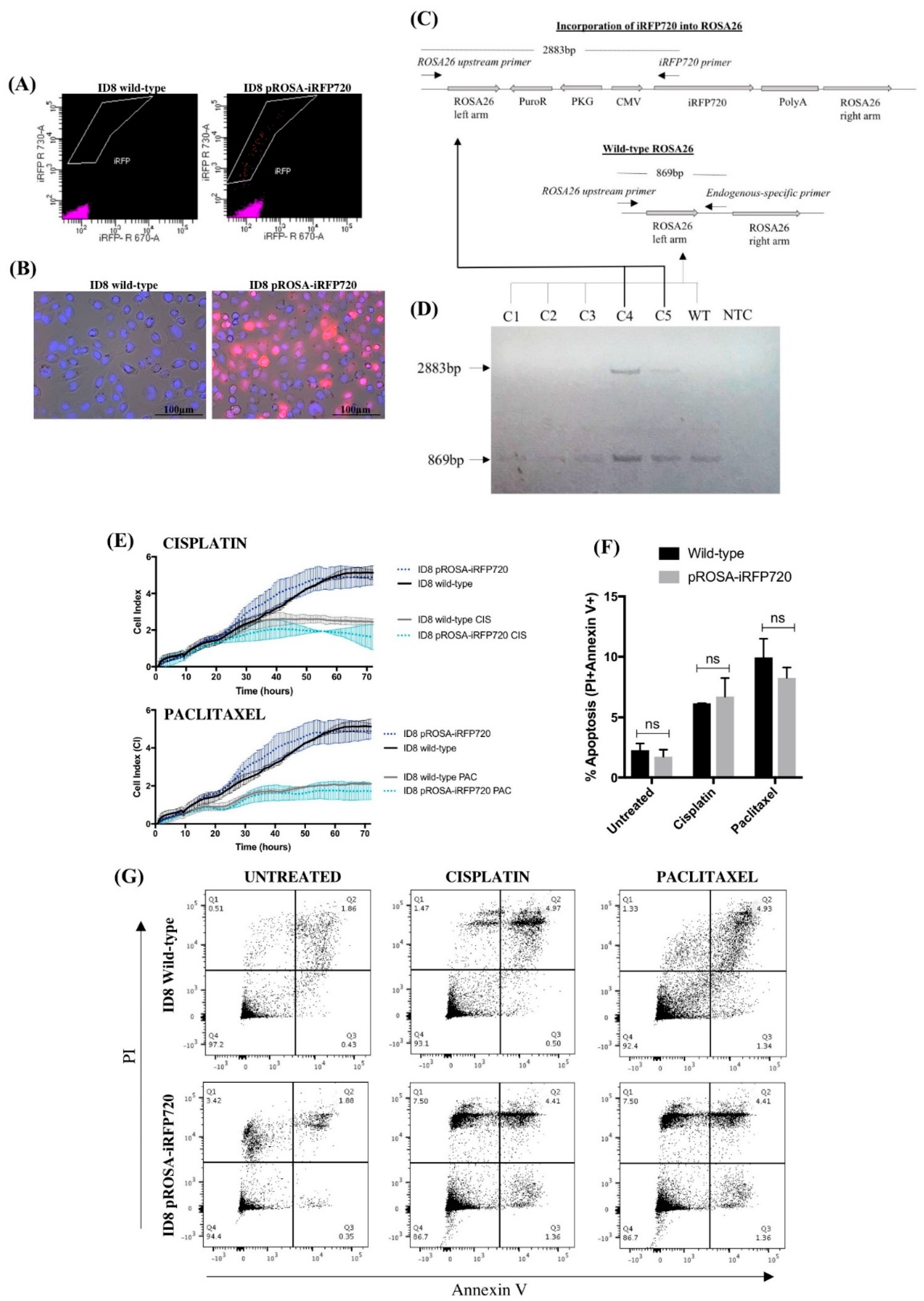 Cancers 11 00032 g002 Cancers 11 00032 g002