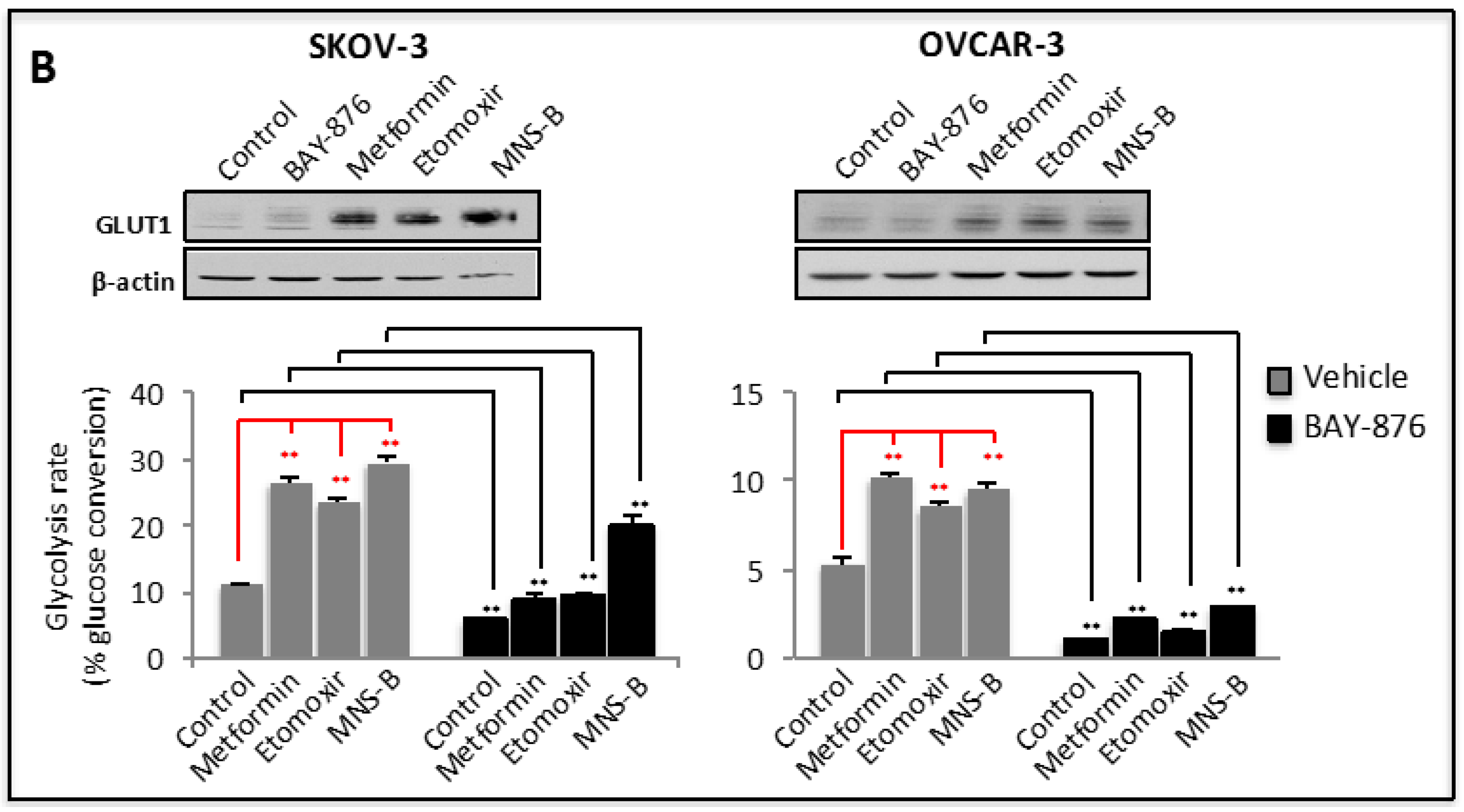 Cancers 11 00033 g002b Cancers 11 00033 g002b