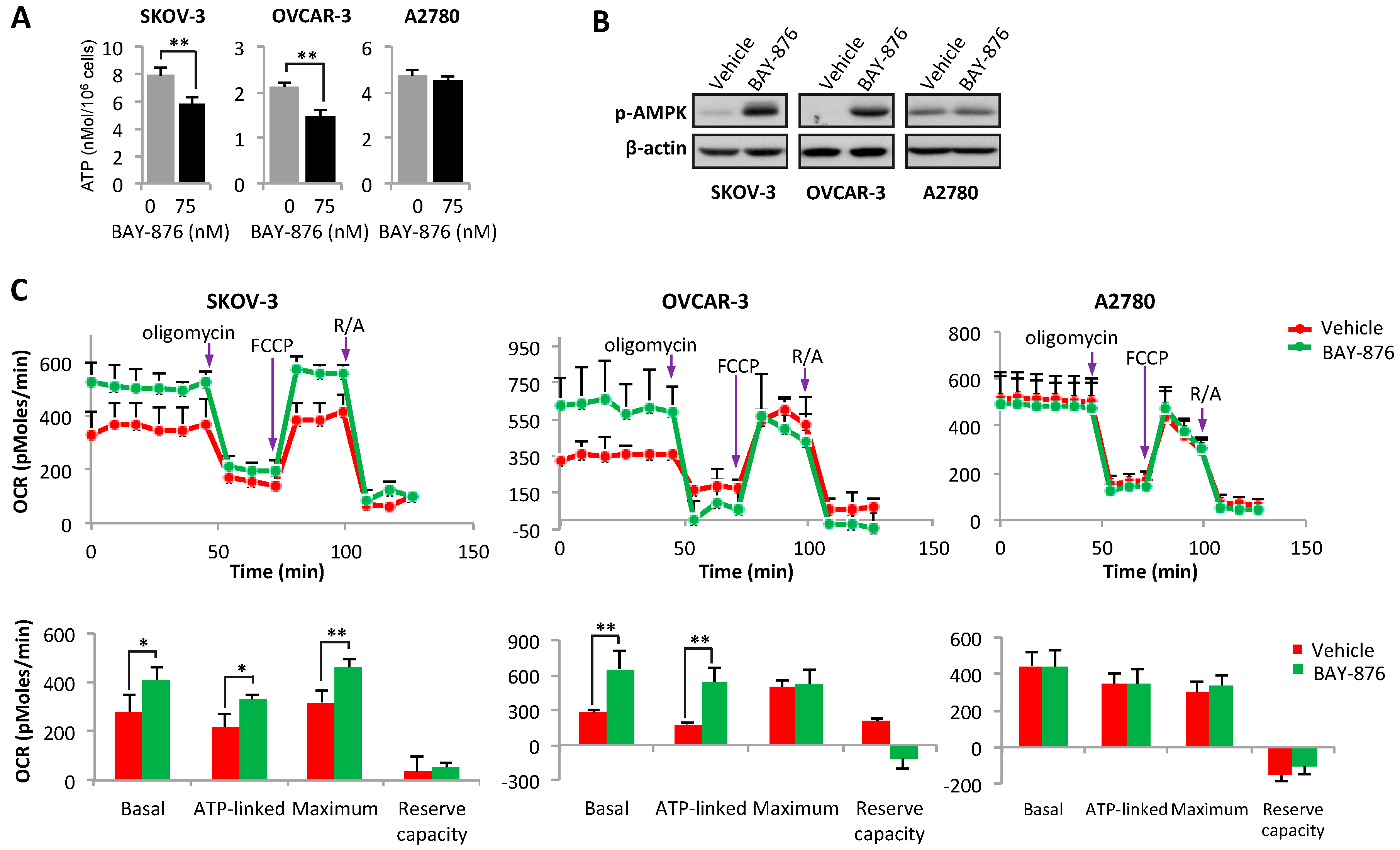Cancers 11 00033 g003 Cancers 11 00033 g003