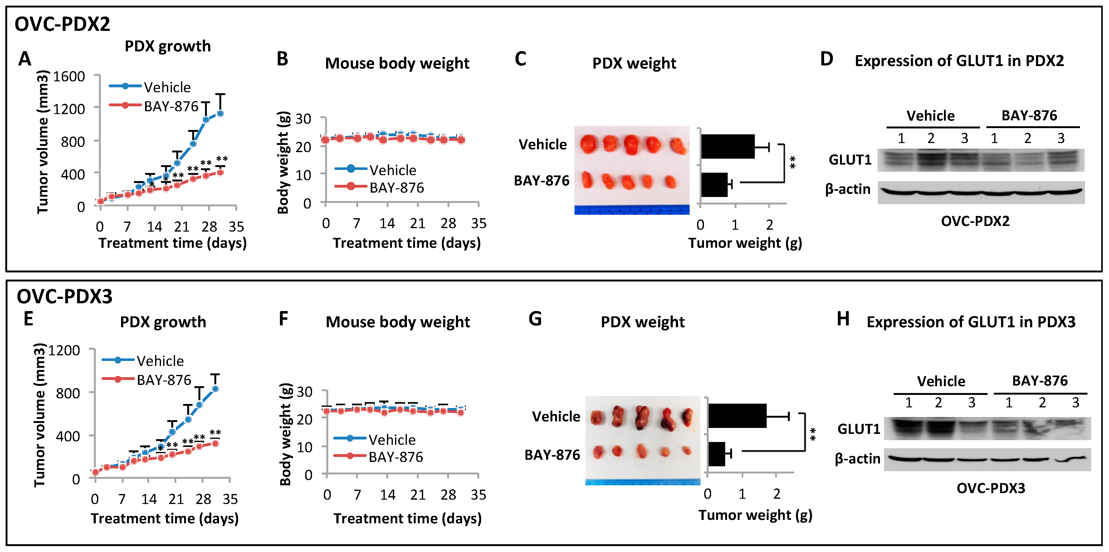 Cancers 11 00033 g006 Cancers 11 00033 g006