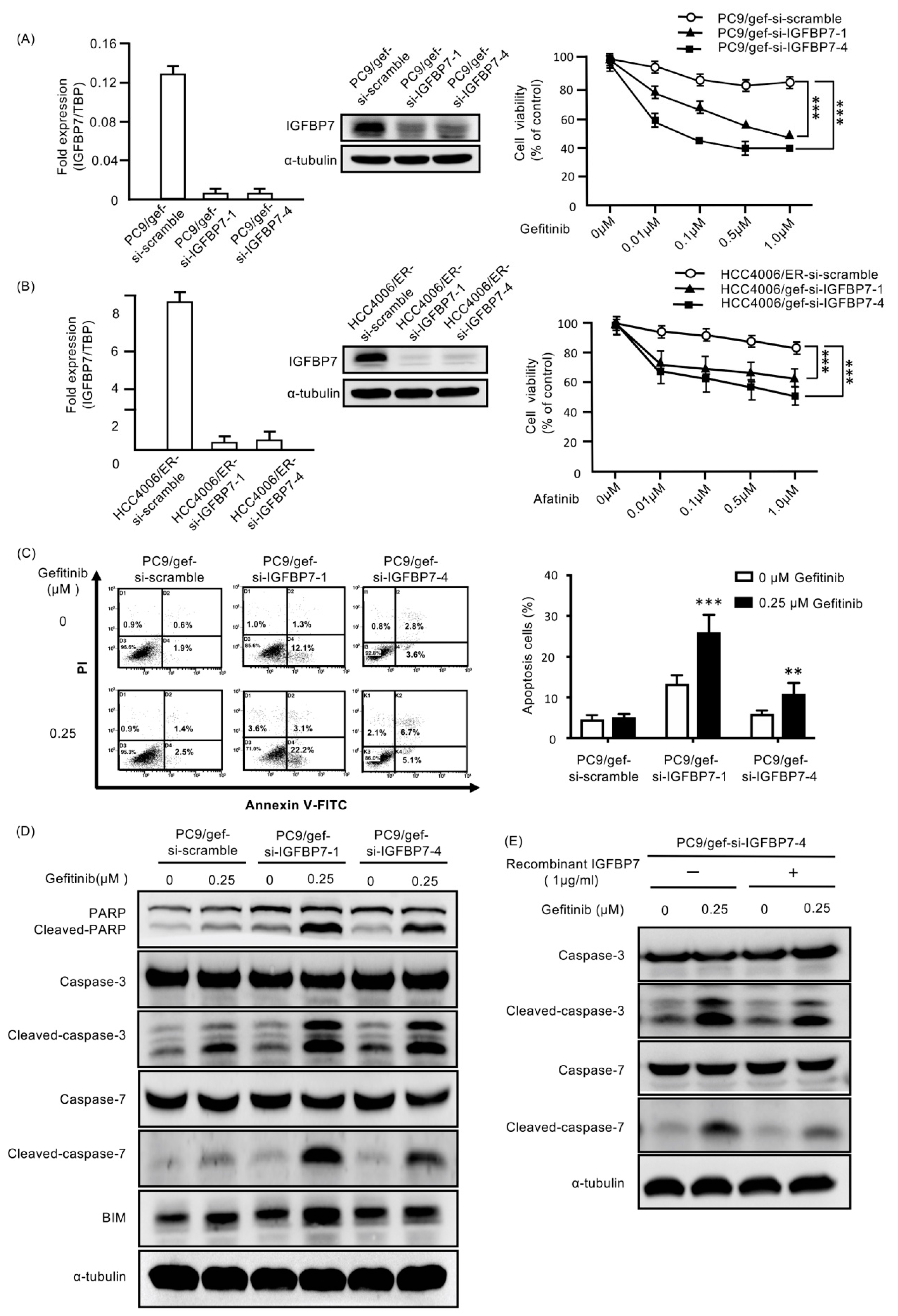 Cancers 11 00036 g003