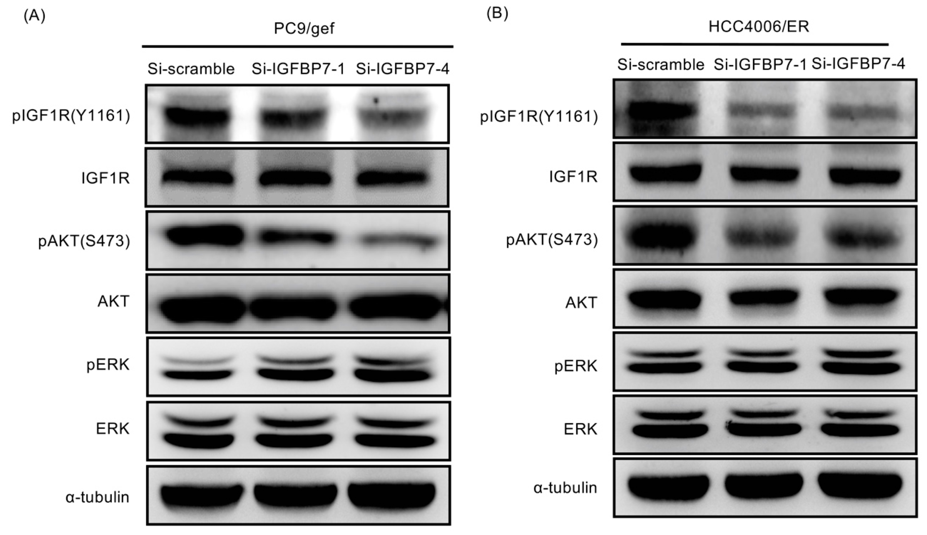 Cancers 11 00036 g005