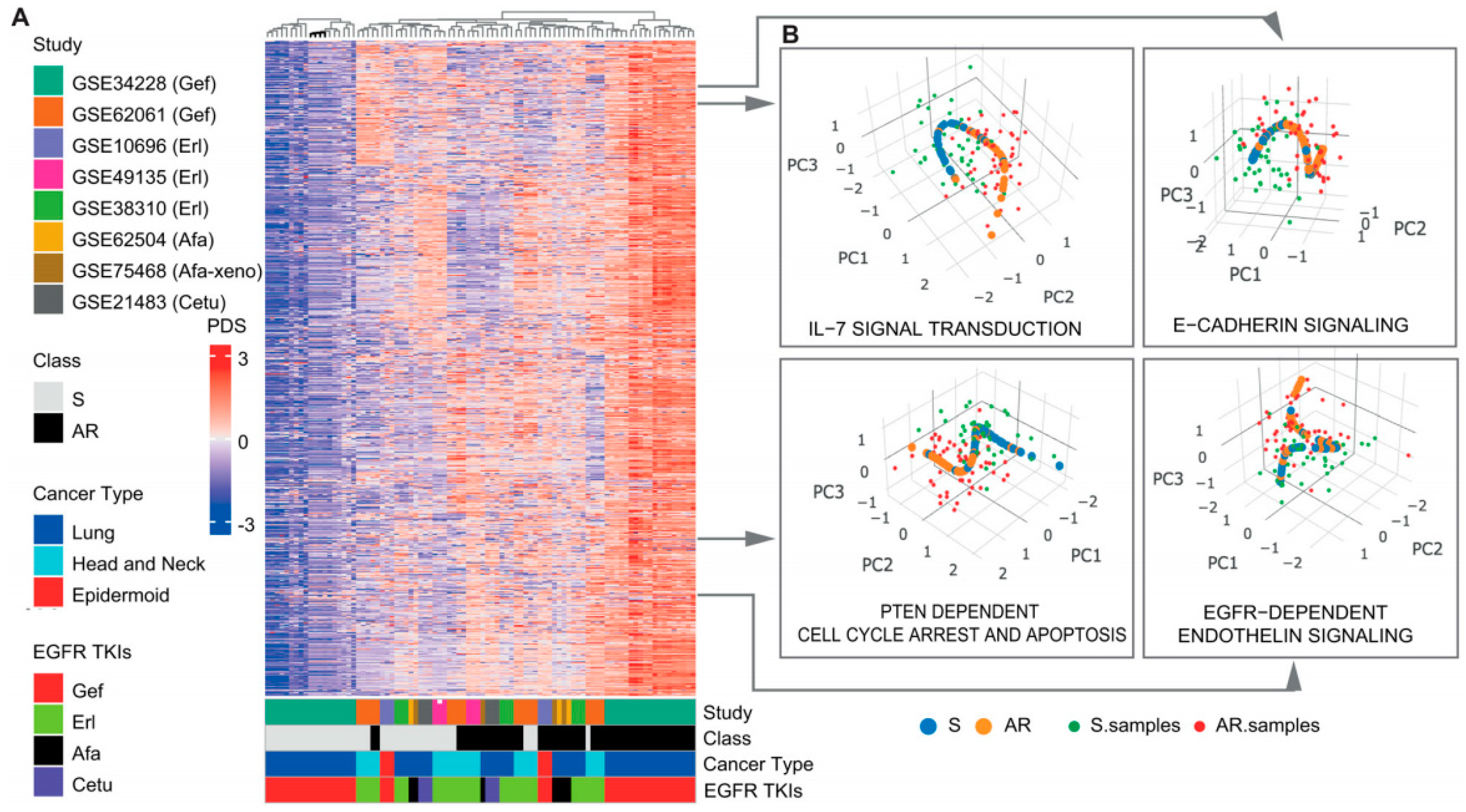 Cancers 11 00045 g002 Cancers 11 00045 g002
