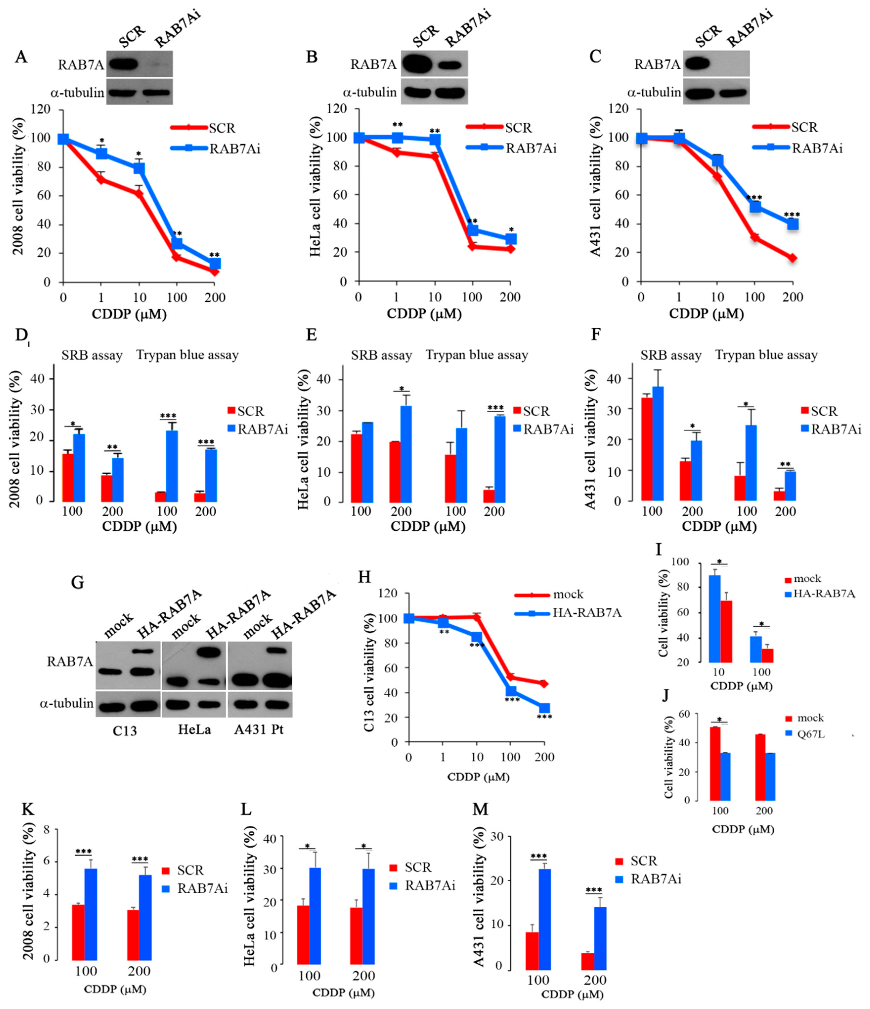 Cancers 11 00052 g002 Cancers 11 00052 g002