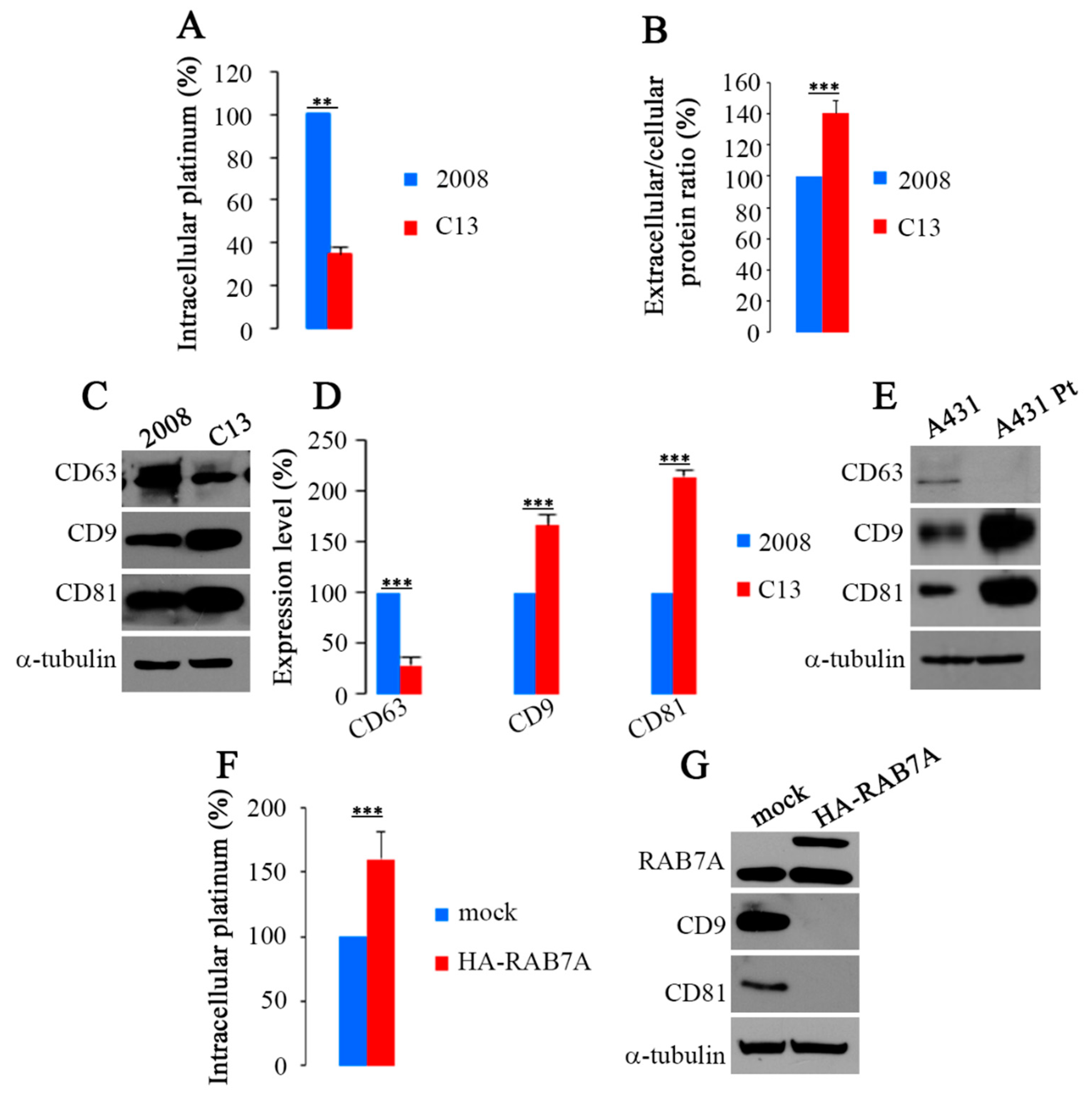 Cancers 11 00052 g003 Cancers 11 00052 g003