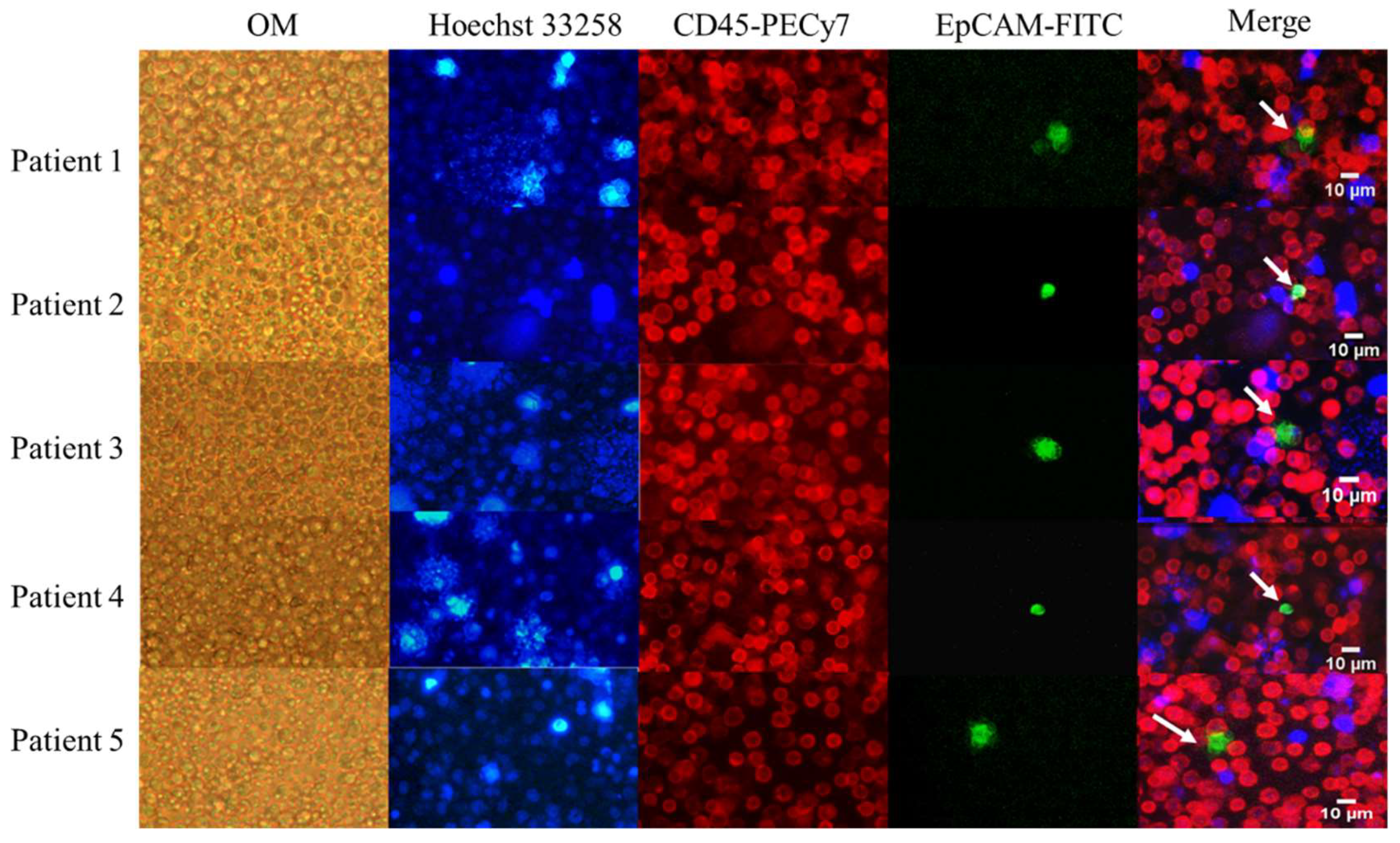 Cancers 11 00056 g002