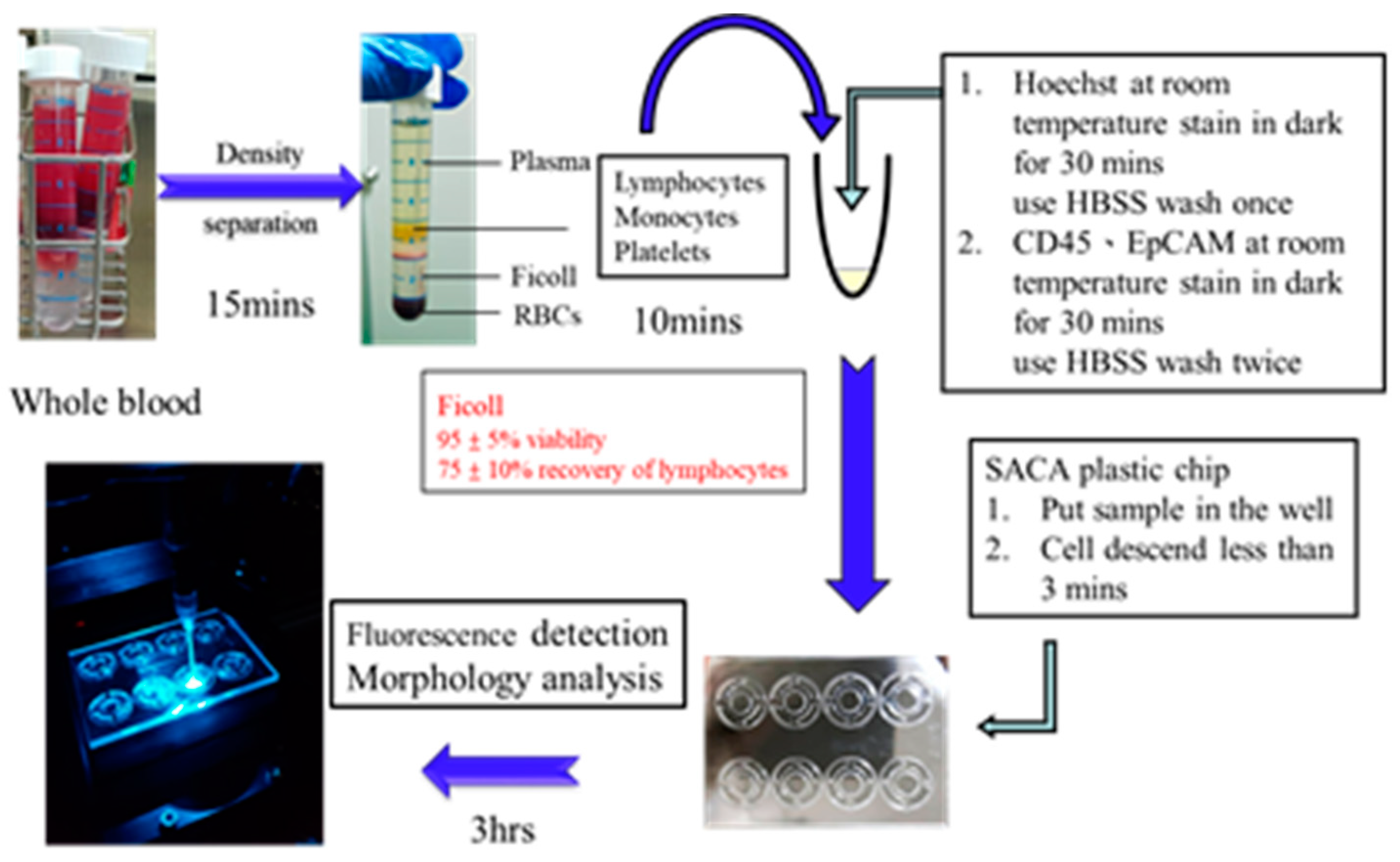 Cancers 11 00056 g006