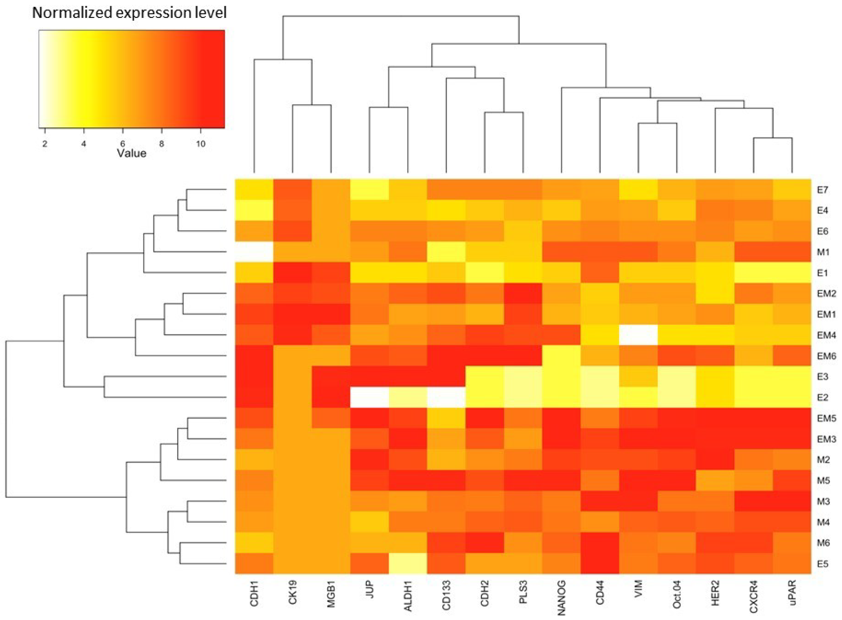 Cancers 11 00059 g005 Cancers 11 00059 g005