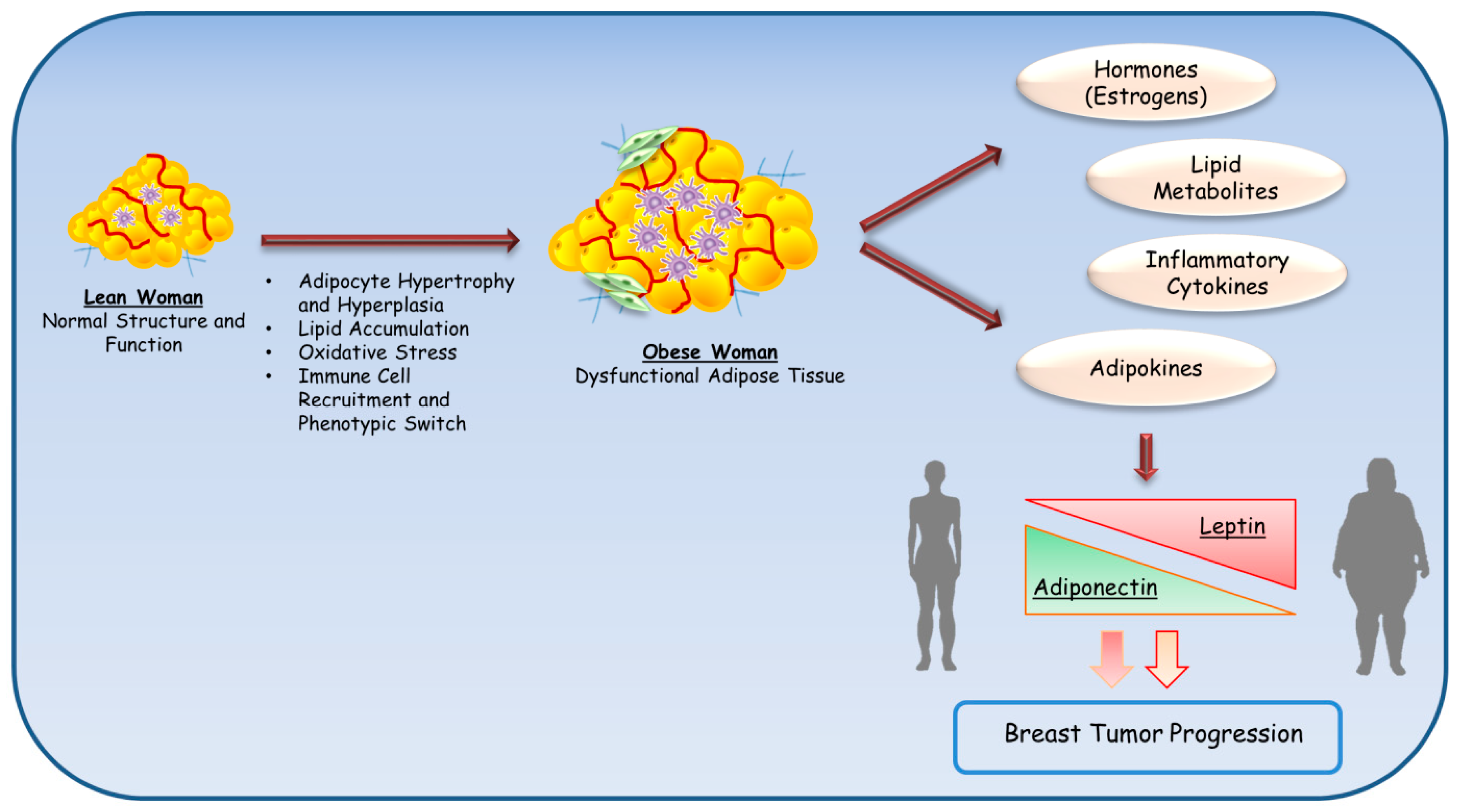 cancer hormonal changes)