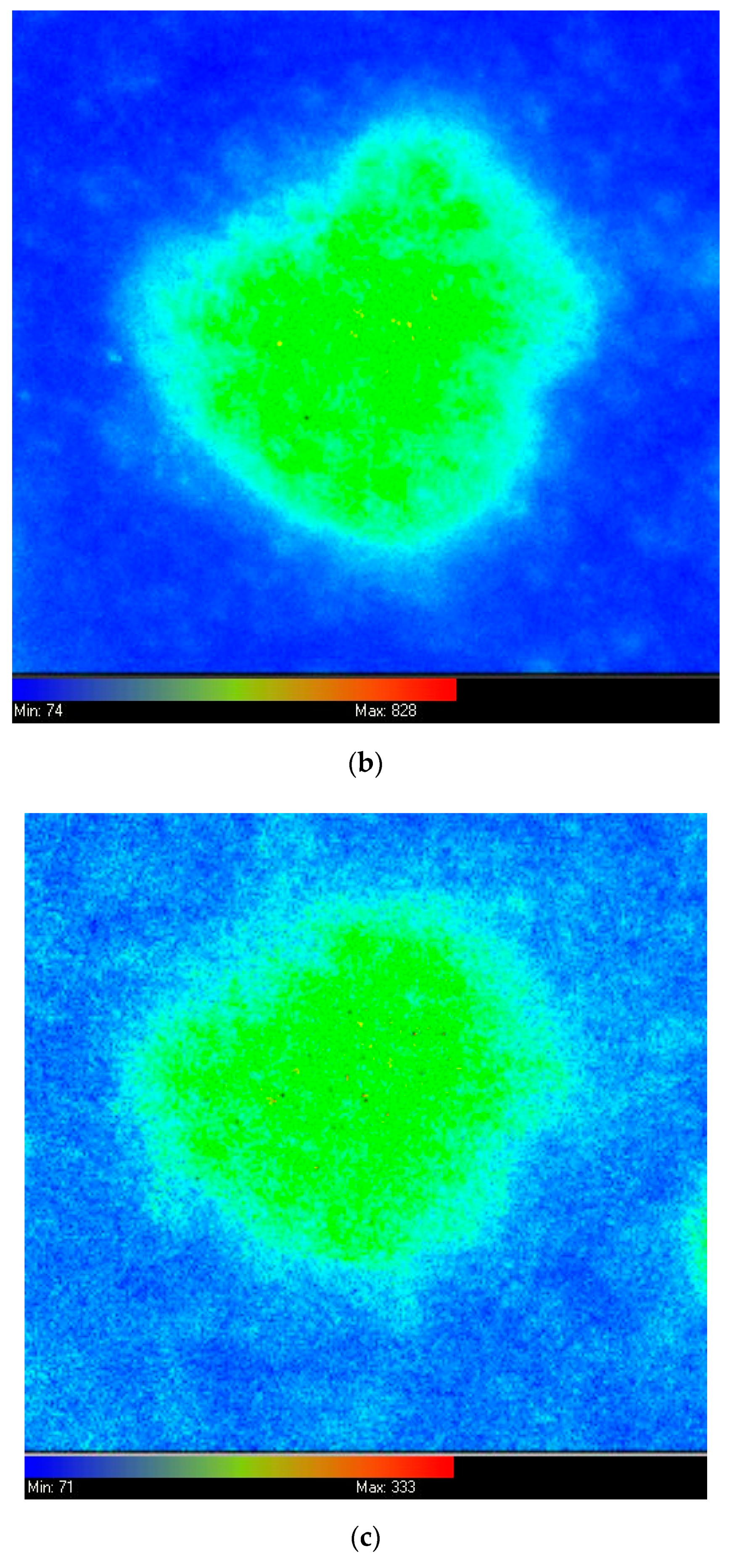 Cancers 11 00072 g001b Cancers 11 00072 g001b