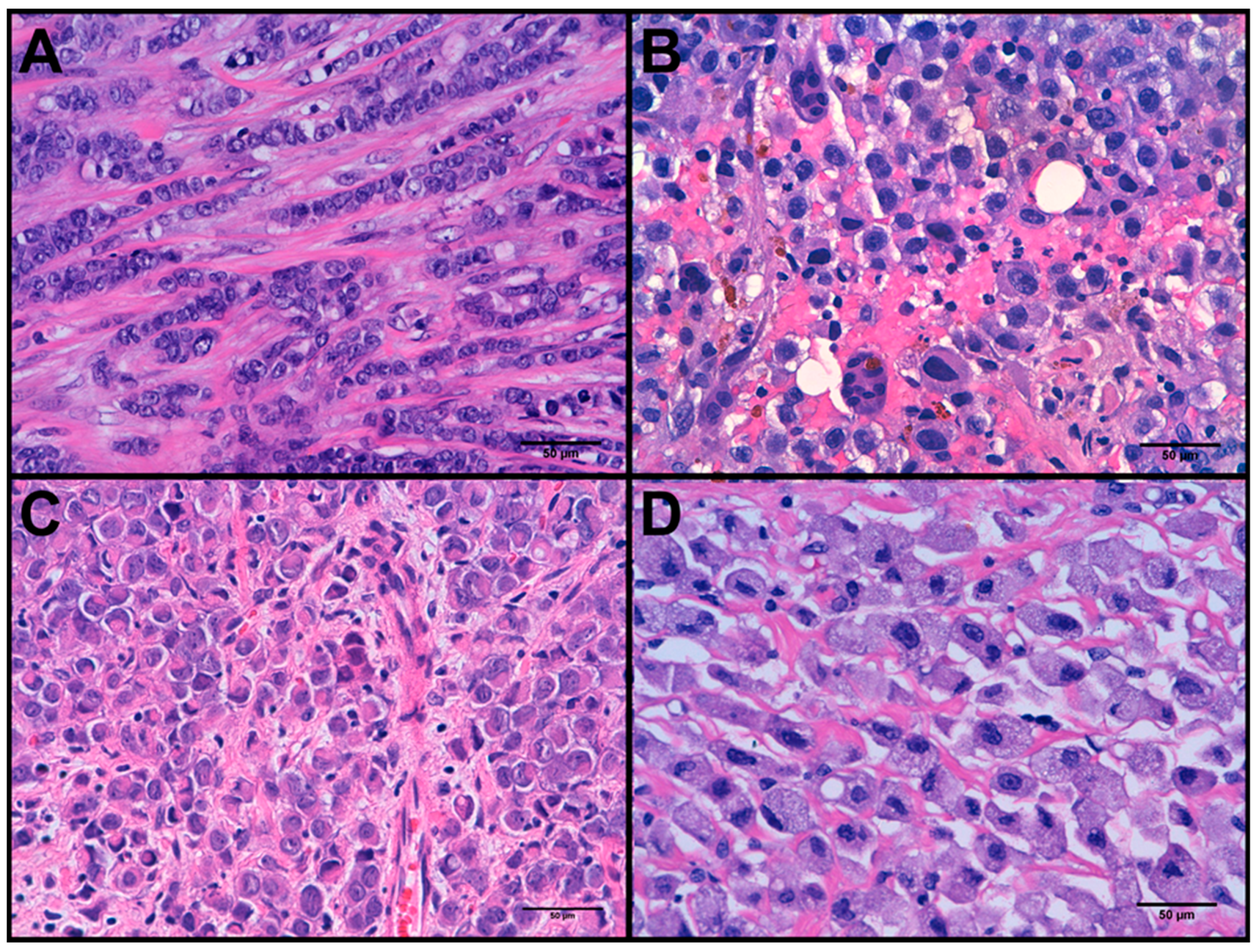 Cancers 11 00074 g001 Cancers 11 00074 g001